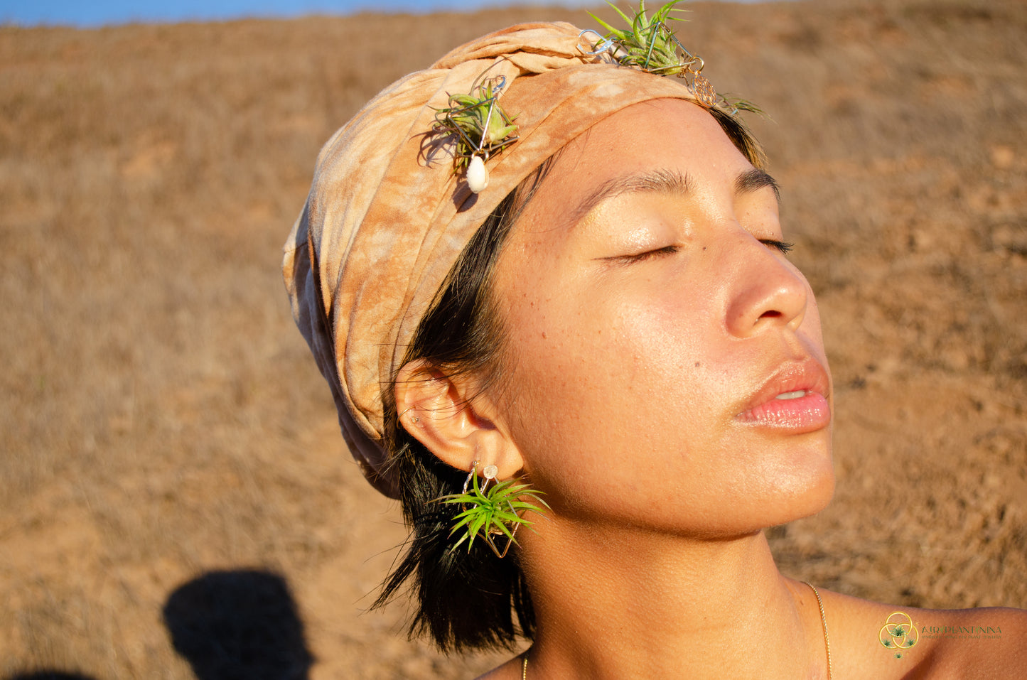 Air Plant Stud Earrings ~ Mini Octahedron Studs