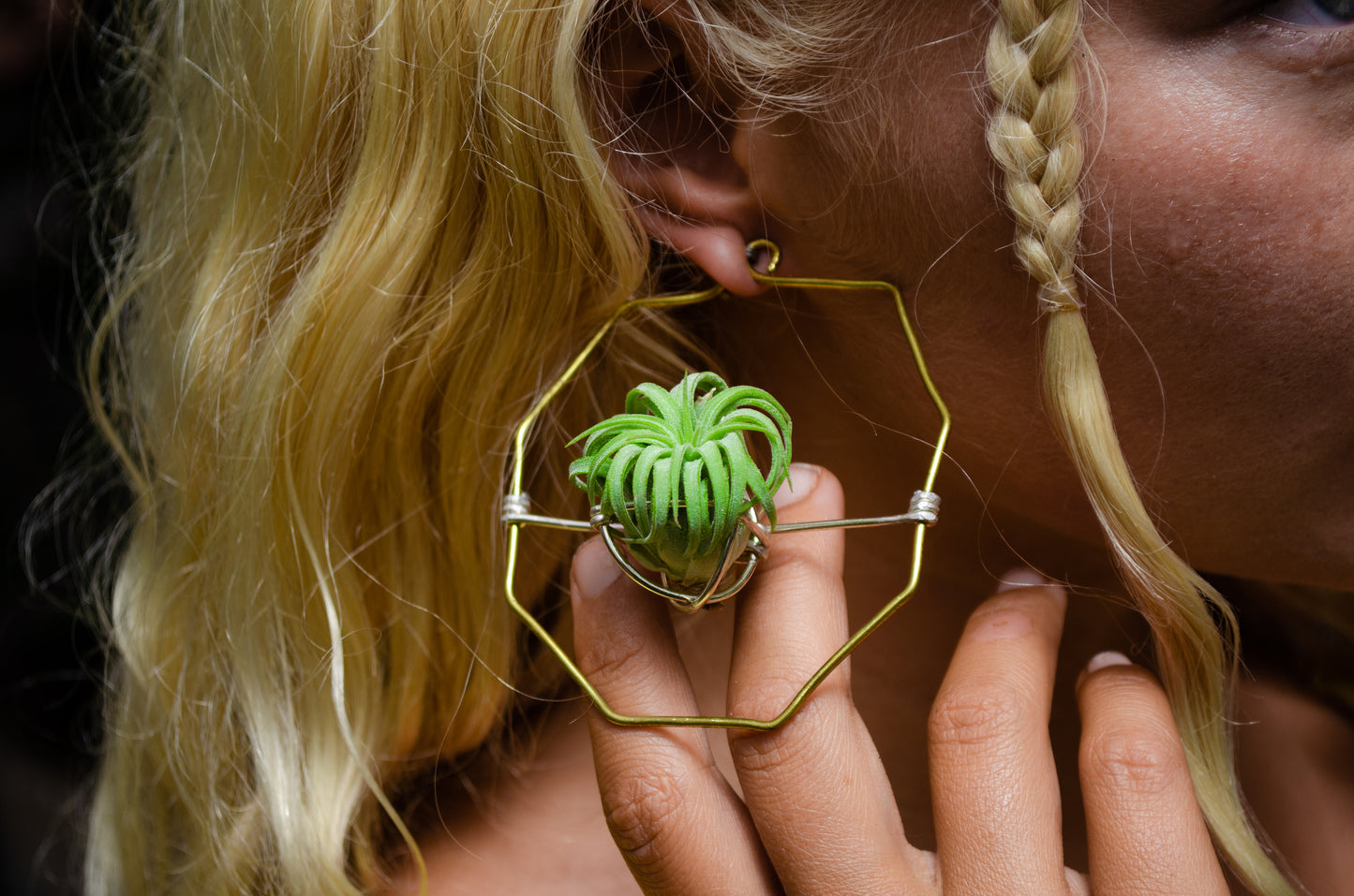 Merkaba Star & Octagon Air Plant Hoop Earrings ~ Geometric Hoops