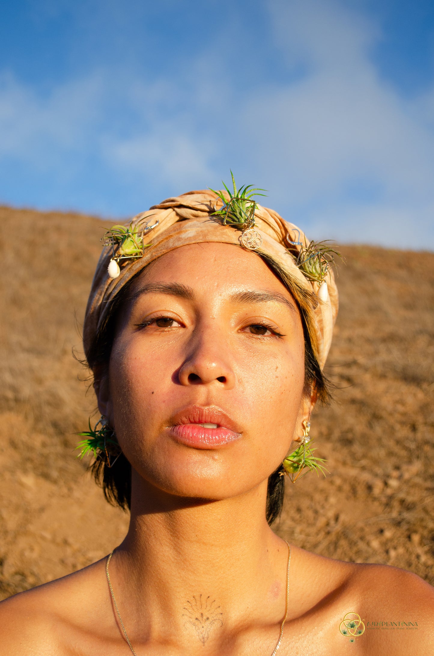 Air Plant Stud Earrings ~ Mini Octahedron Studs