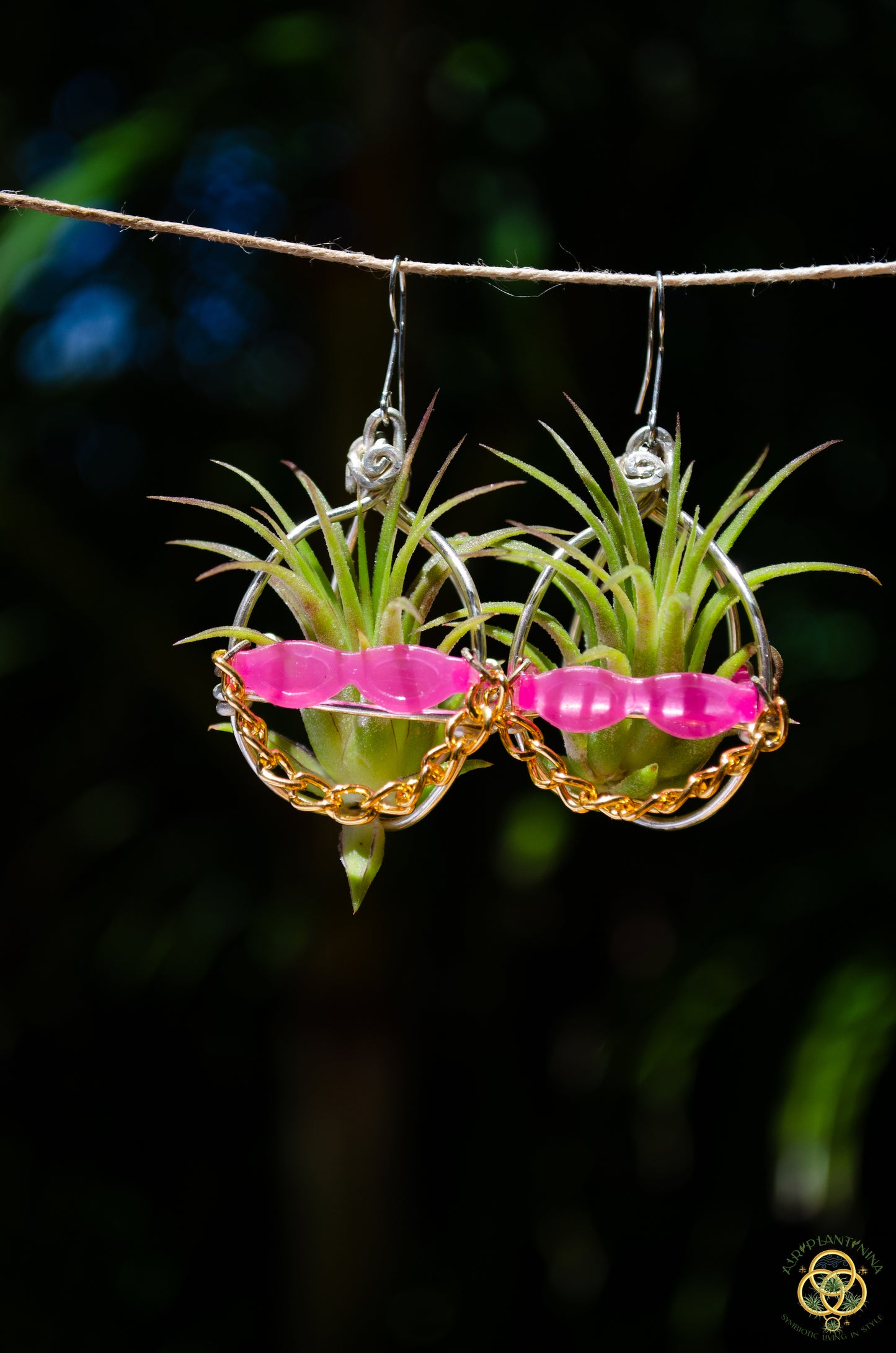 Kawaii Cool Cat Air Plant Earrings ~ Hip Hop Sunglasses Character Earrings