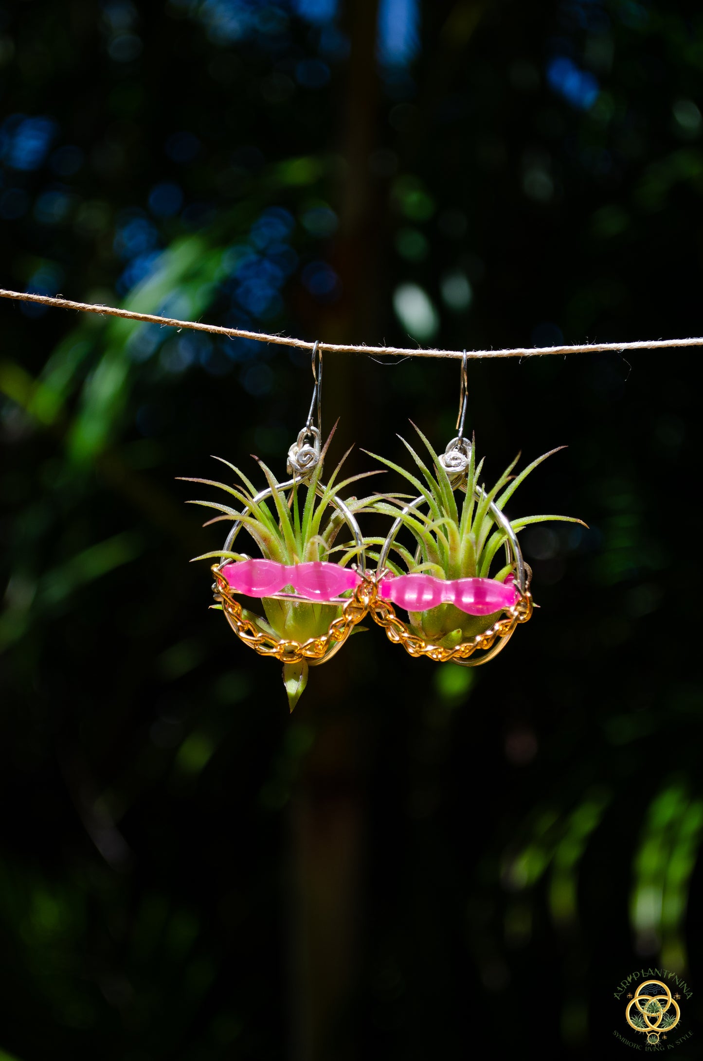 Kawaii Cool Cat Air Plant Earrings ~ Hip Hop Sunglasses Character Earrings