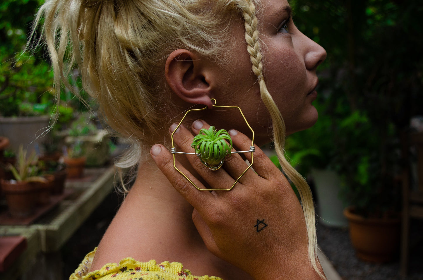 Air Plant Hoop Earrings Heart, Moon, Octagon