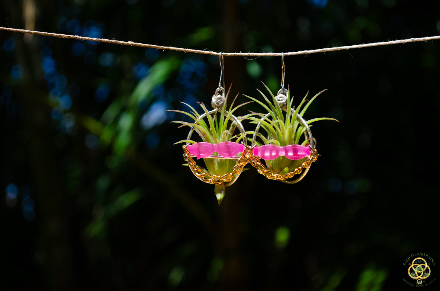 Kawaii Cool Cat Air Plant Earrings ~ Hip Hop Sunglasses Character Earrings