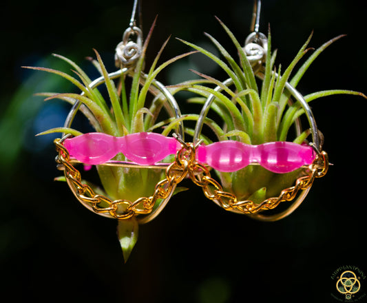 Kawaii Cool Cat Air Plant Earrings ~ Hip Hop Sunglasses Character Earrings