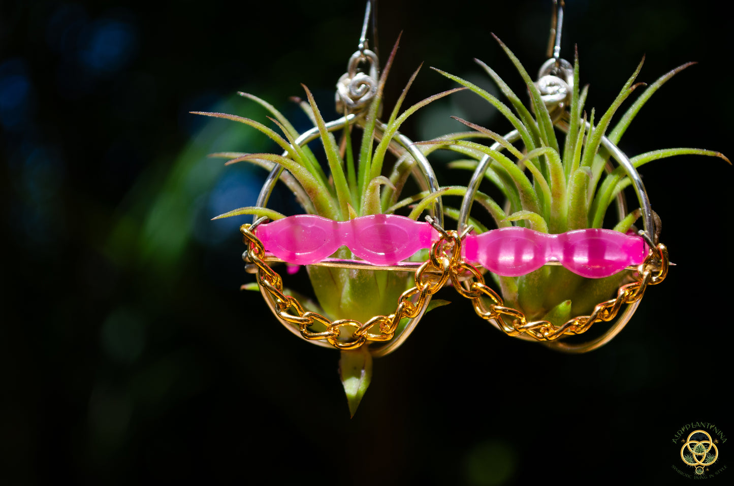 Kawaii Cool Cat Air Plant Earrings ~ Hip Hop Sunglasses Character Earrings