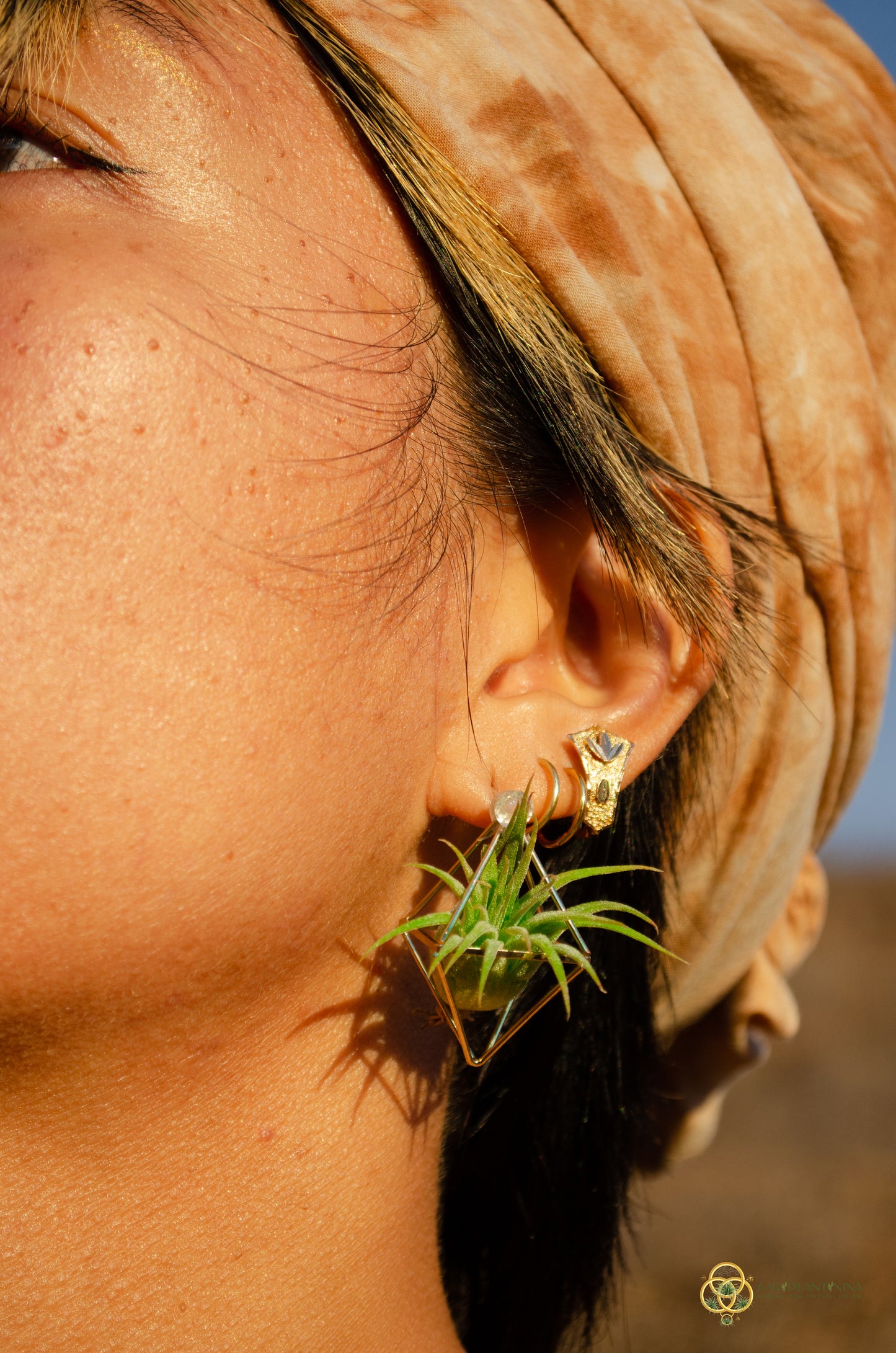 Air Plant Stud Earrings ~ Mini Octahedron Studs