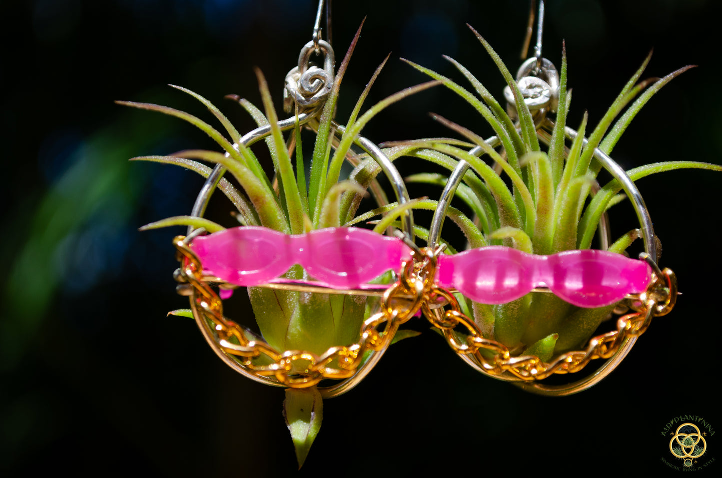 Kawaii Cool Cat Air Plant Earrings ~ Hip Hop Sunglasses Character Earrings