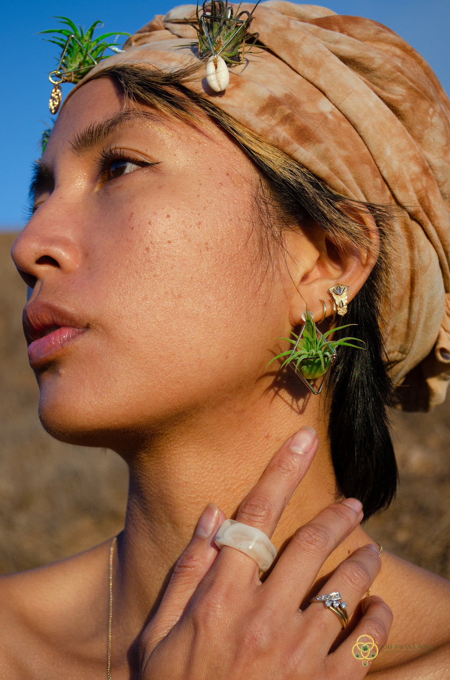 Air Plant Stud Earrings ~ Mini Octahedron Studs