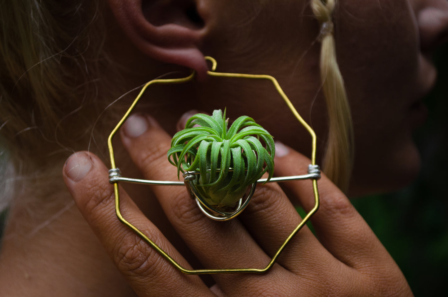 Merkaba Star & Octagon Air Plant Hoop Earrings ~ Geometric Hoops