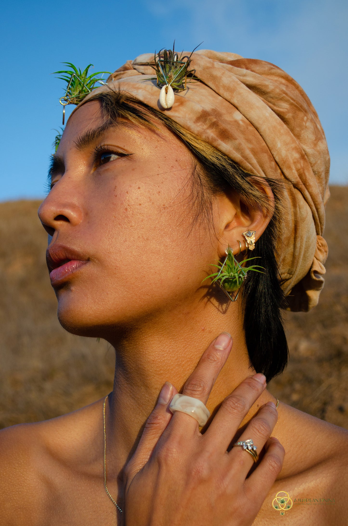 Air Plant Stud Earrings ~ Mini Octahedron Studs