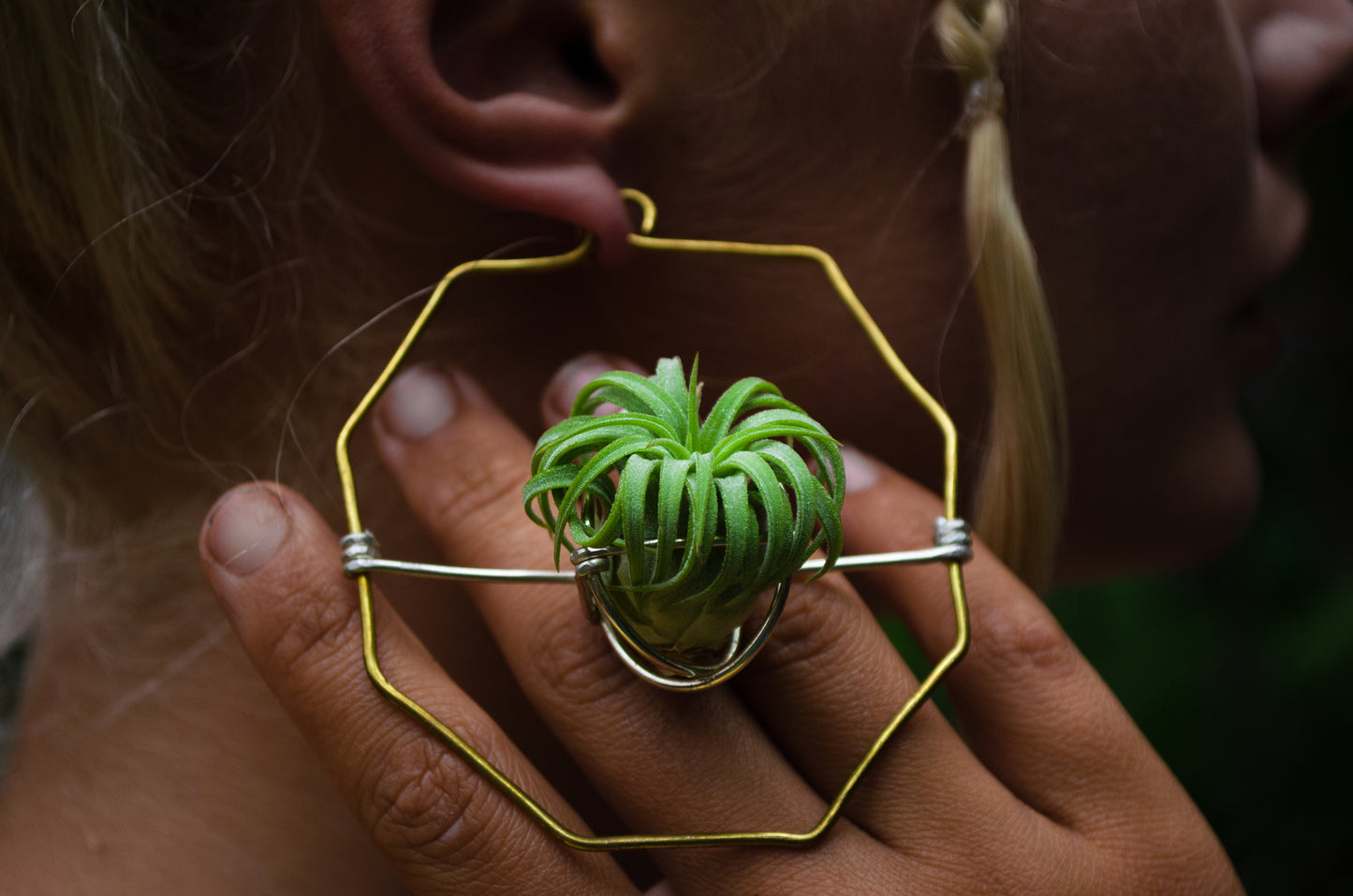 Merkaba Star & Octagon Air Plant Hoop Earrings ~ Geometric Hoops