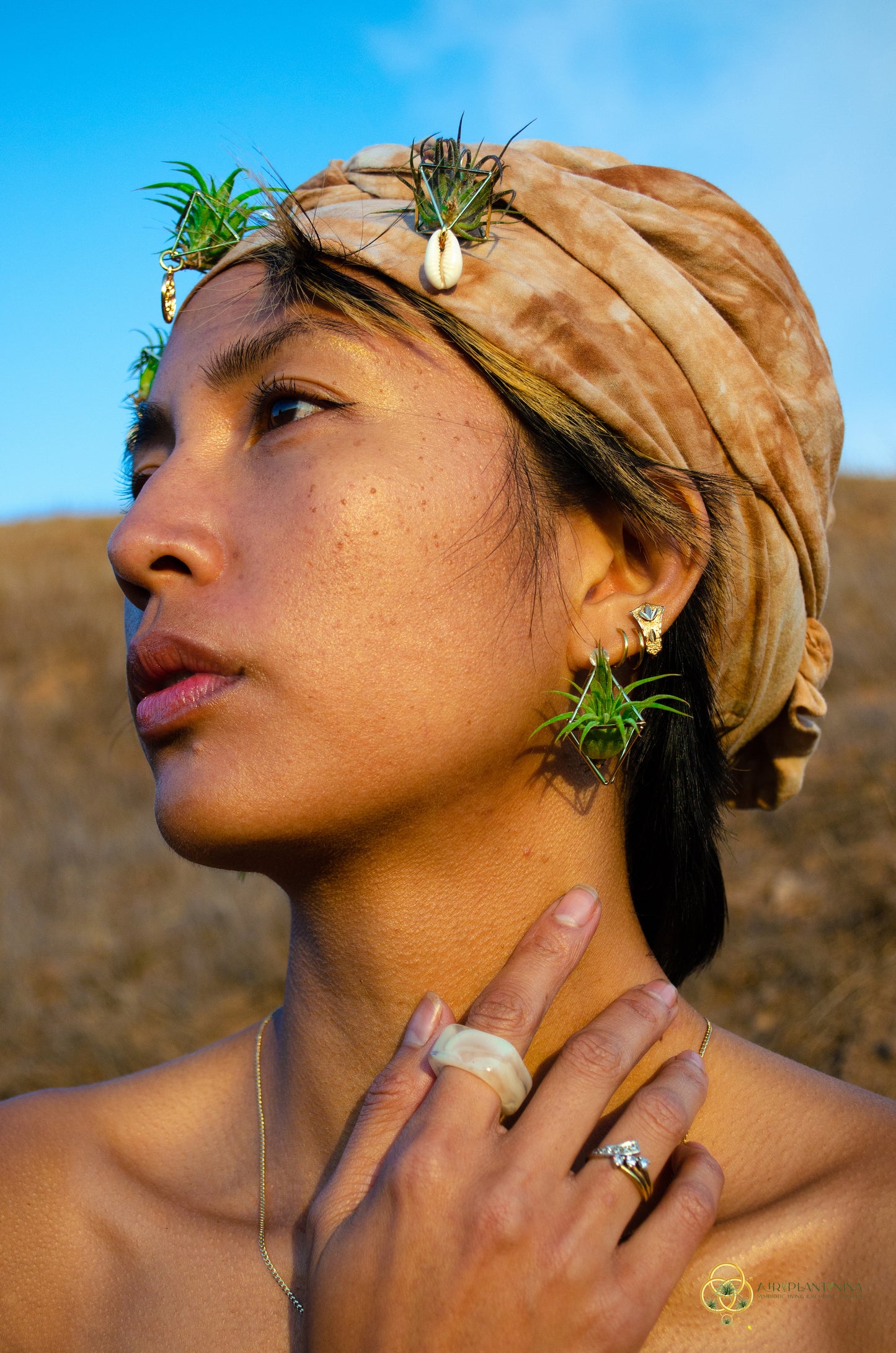 Air Plant Stud Earrings ~ Mini Octahedron Studs