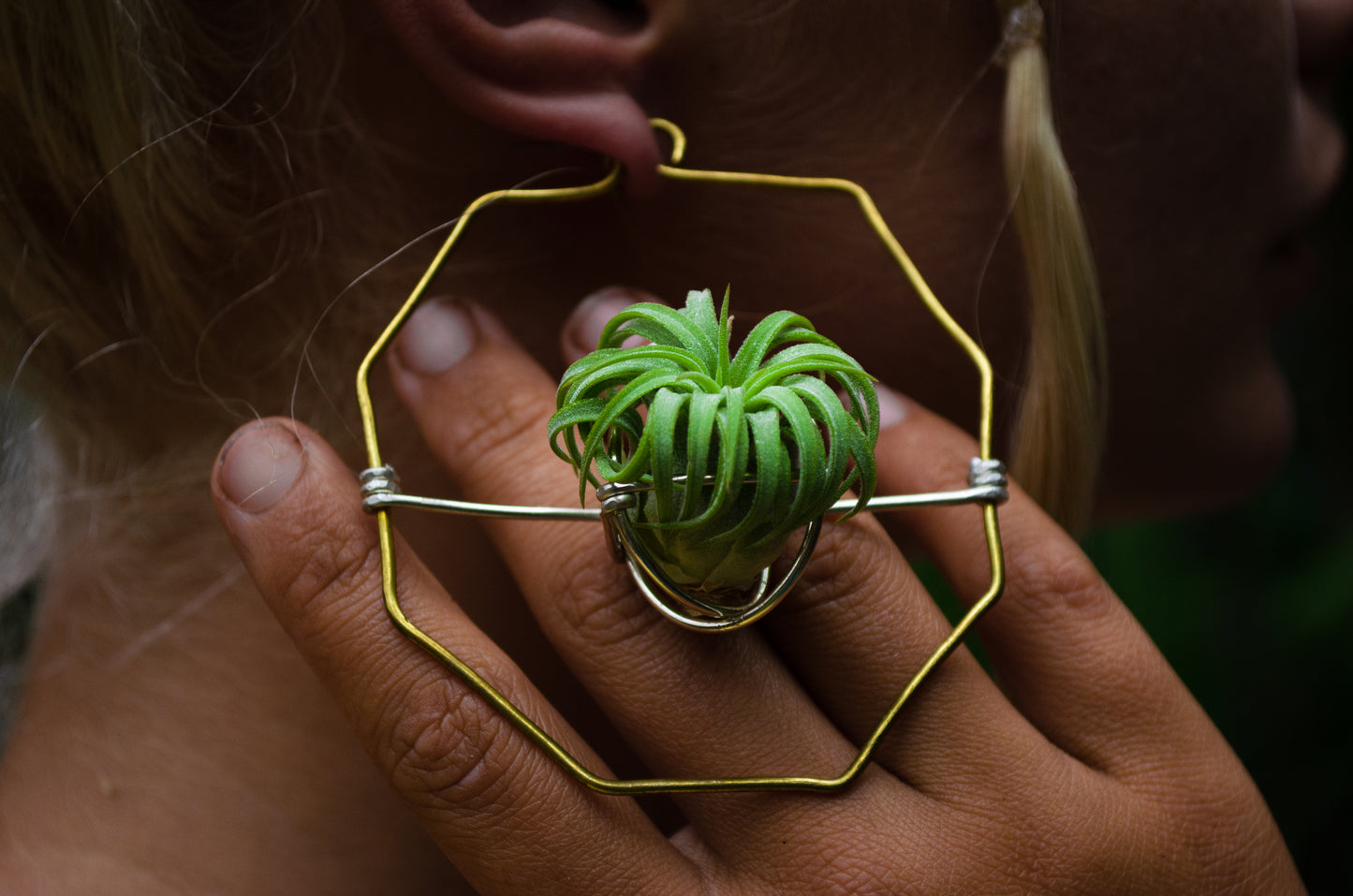 Merkaba Star & Octagon Air Plant Hoop Earrings ~ Geometric Hoops