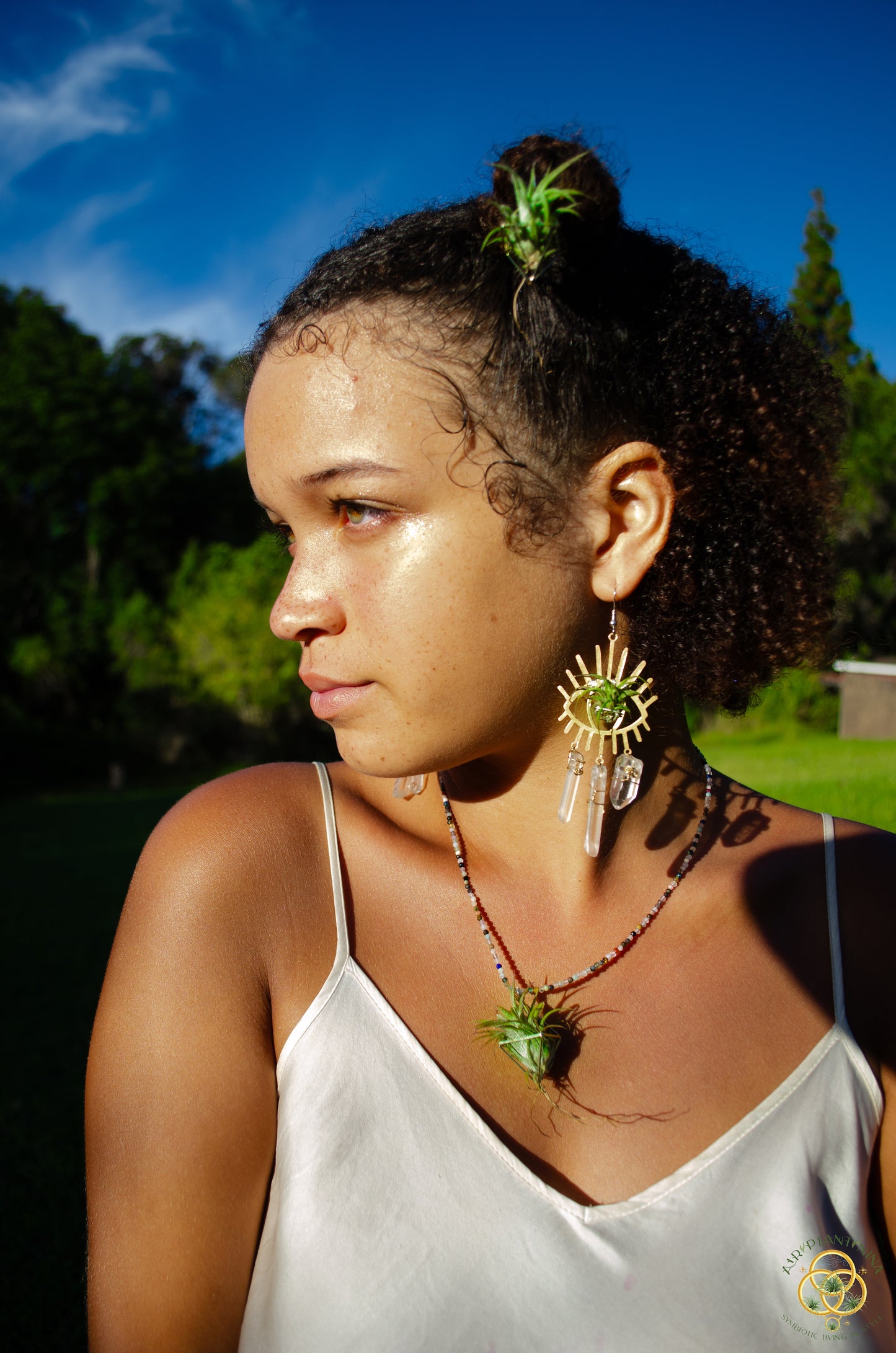 Gemstone Air Plant Pendant
