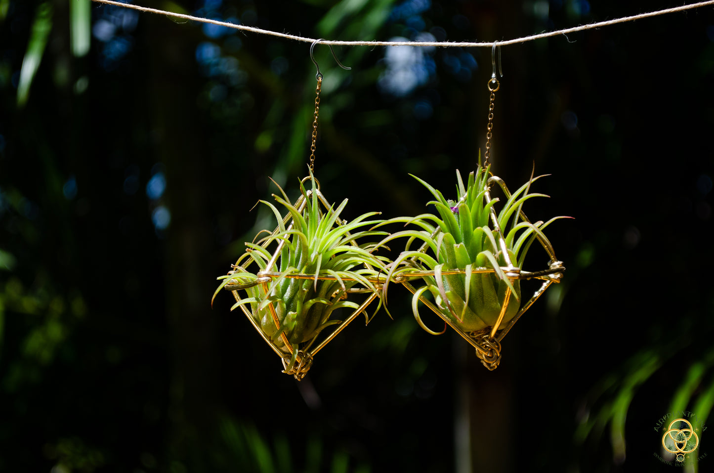 Large Diamond Air Plant Earrings - Geometric Octahedrons (Sterling Silver)