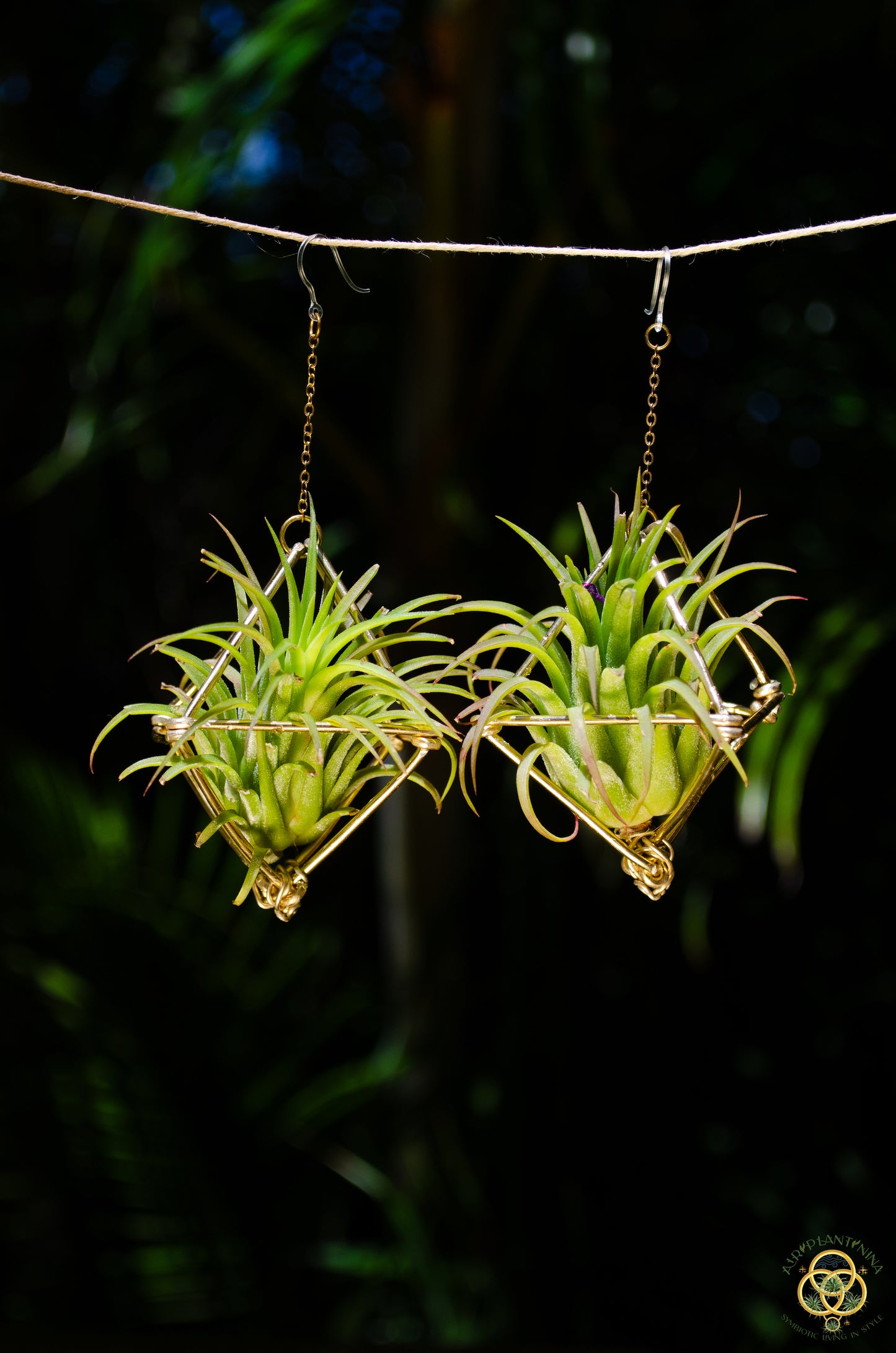 Large Diamond Air Plant Earrings - Geometric Octahedrons (Sterling Silver)