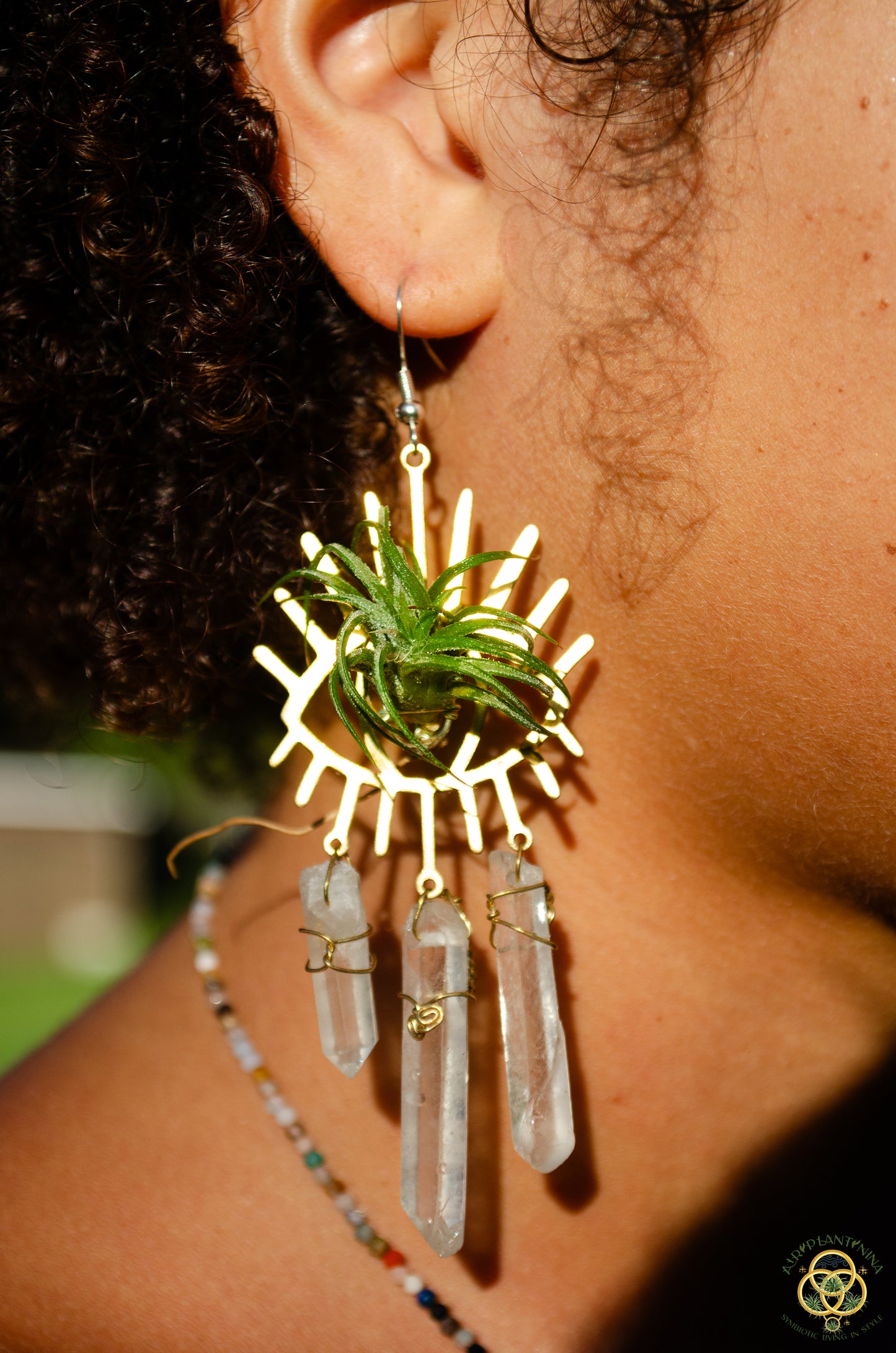 Third Eye-Ris Air Plant Earrings