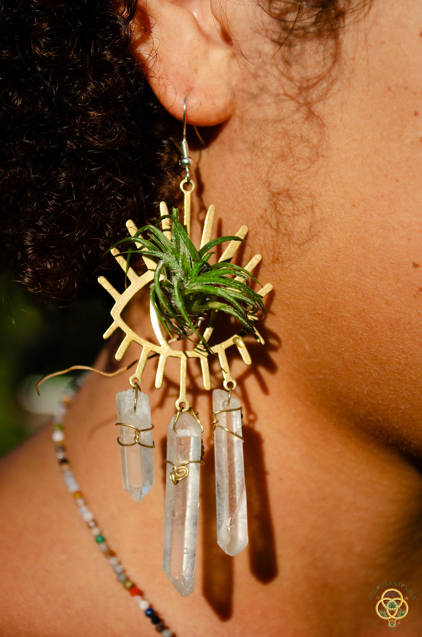 Third Eye-Ris Air Plant Earrings