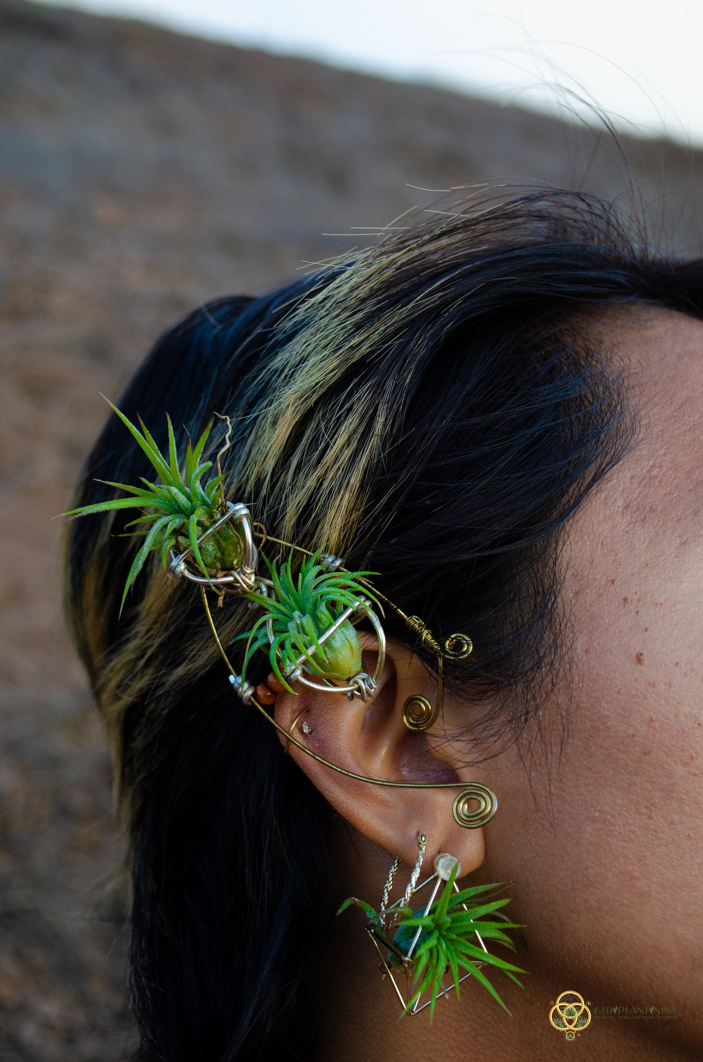 Elf Air Plant Ear Cuffs