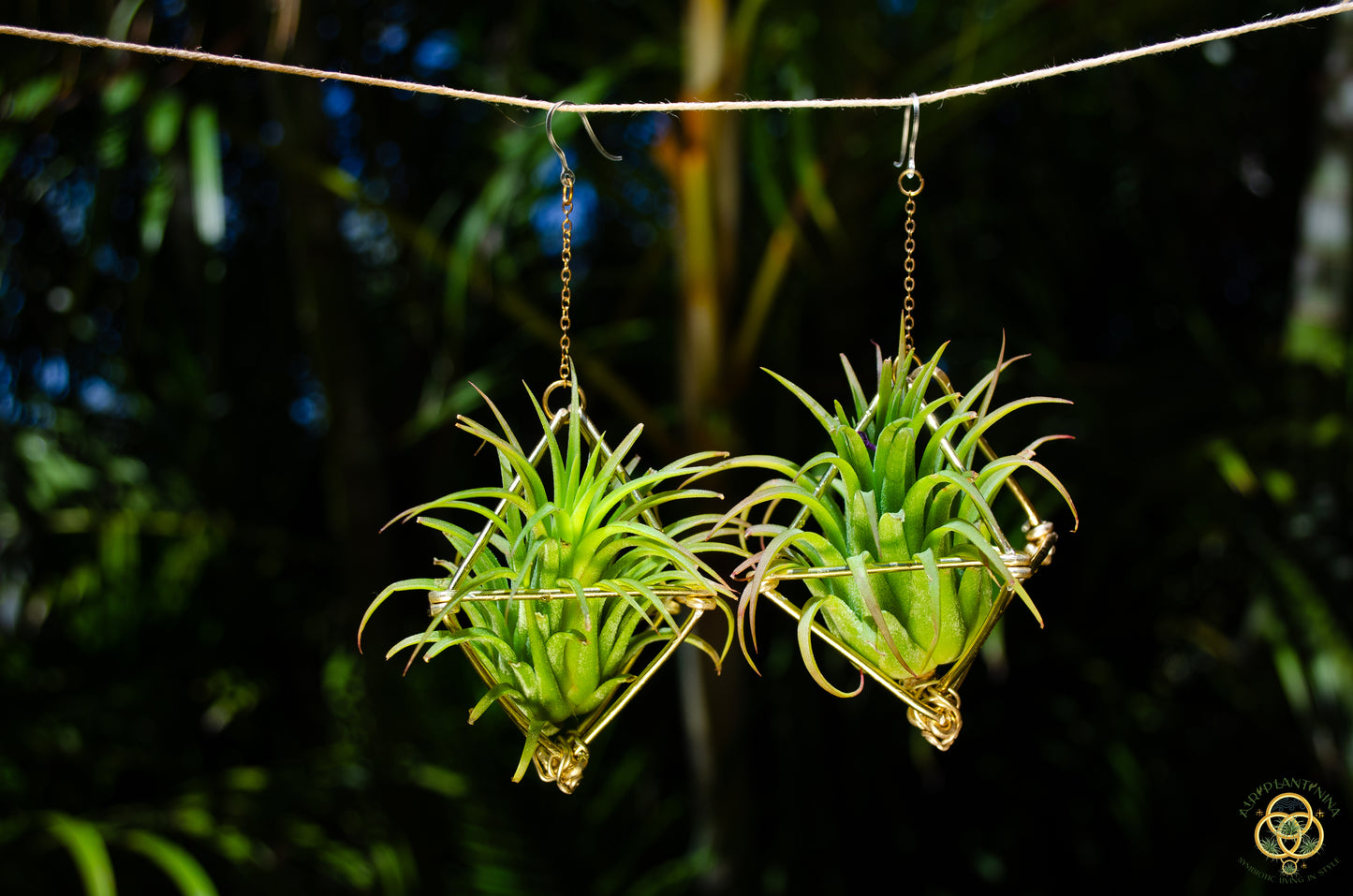 Large Diamond Air Plant Earrings - Geometric Octahedrons (Sterling Silver)