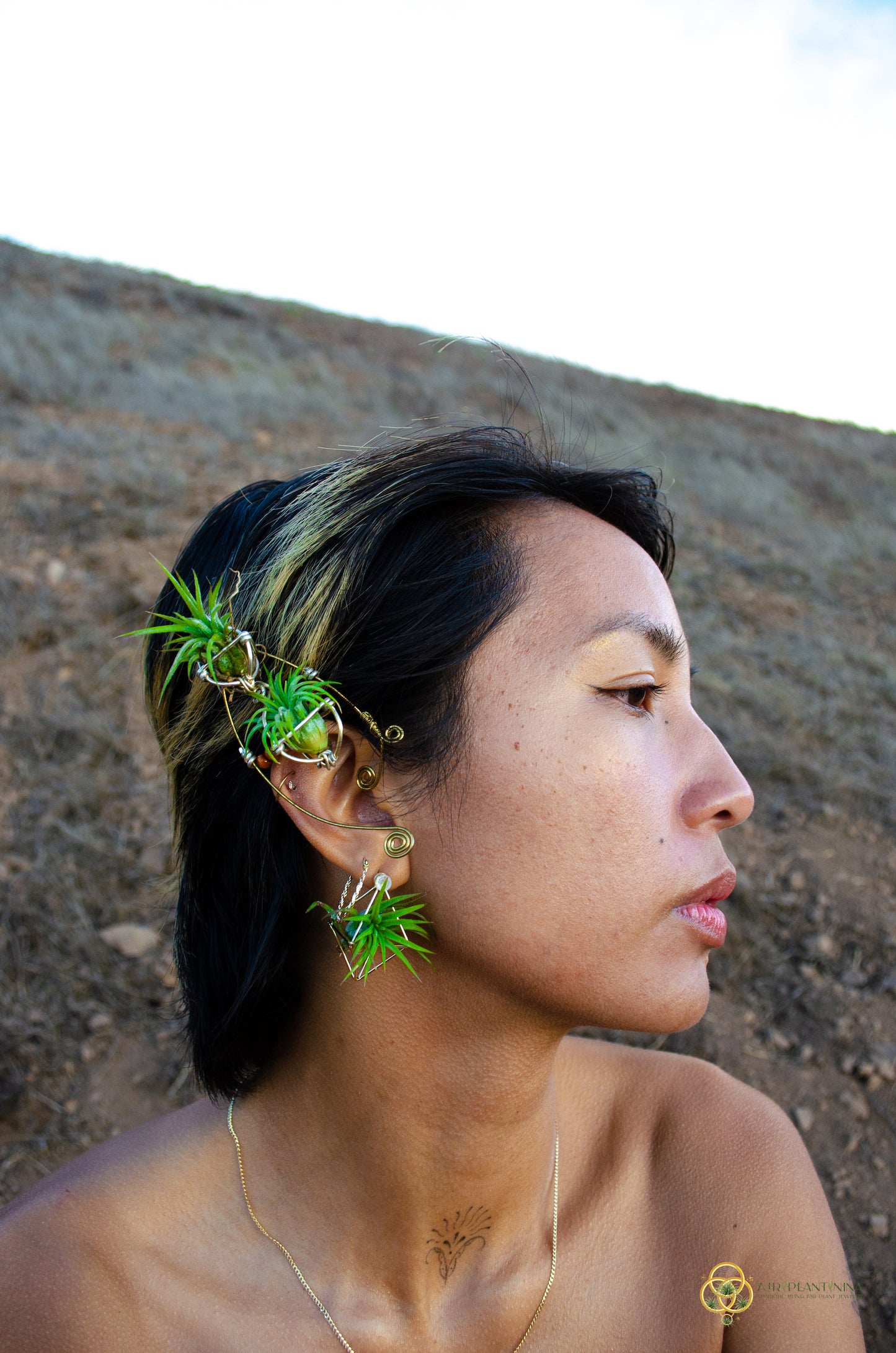Elf Air Plant Ear Cuffs