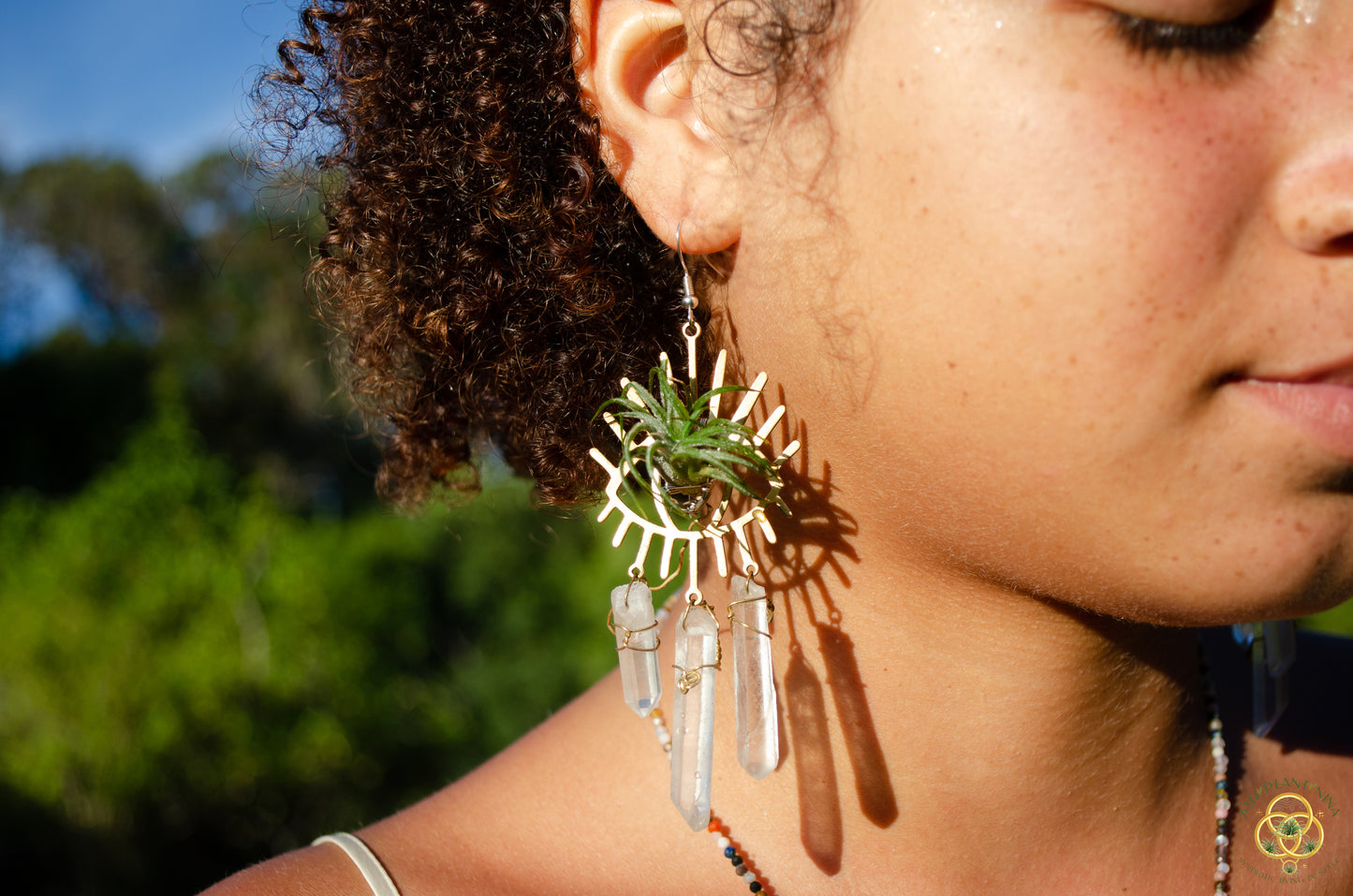 Third Eye-Ris Air Plant Earrings