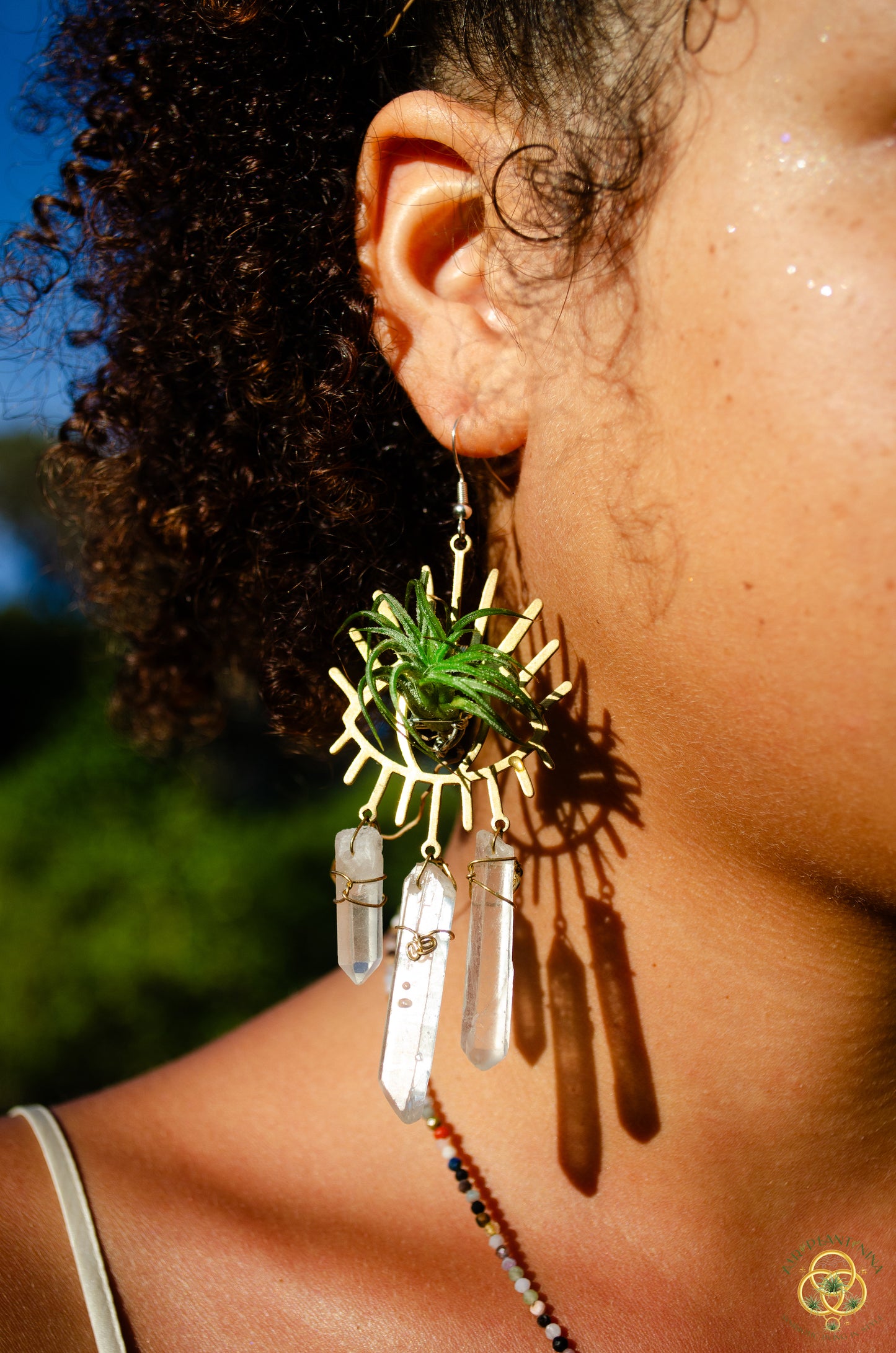 Third Eye-Ris Air Plant Earrings