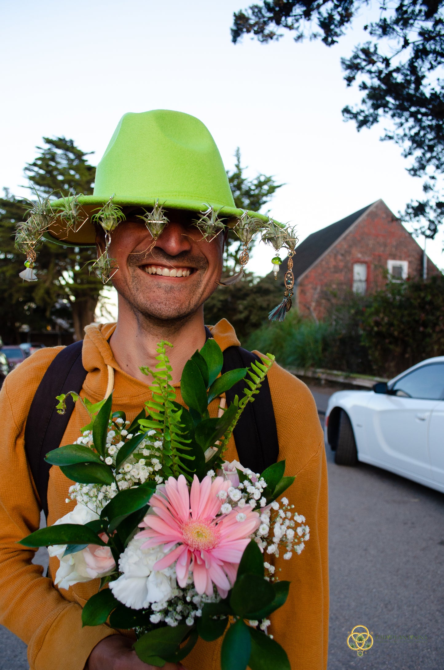 Air Plant Hat Clip/ Earrings ~ Mini Octahedron Classic Air Plant Clips