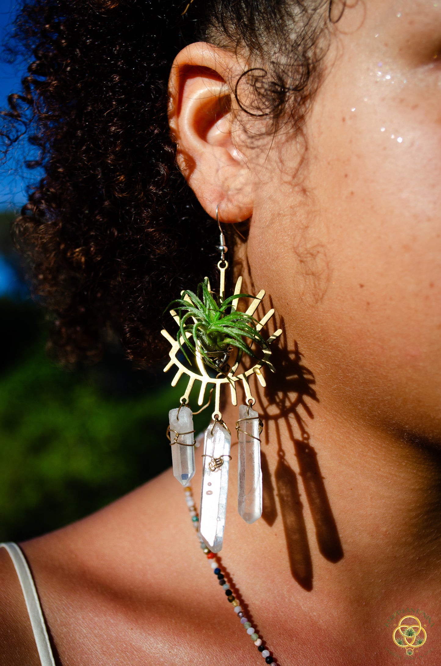 Third Eye-Ris Air Plant Earrings