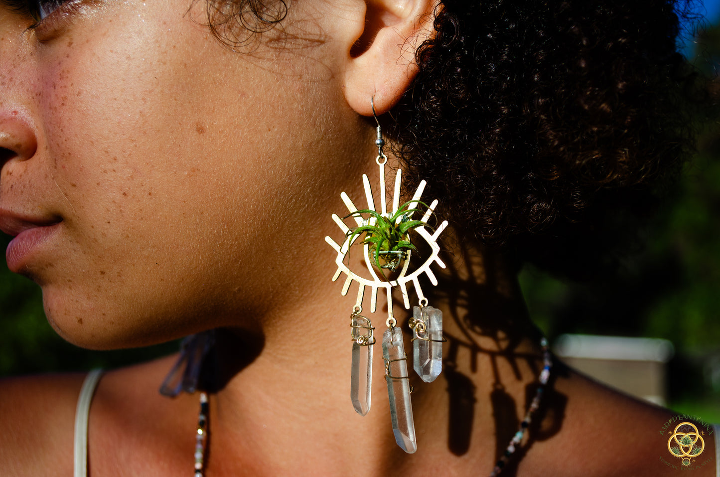 Third Eye-Ris Air Plant Earrings
