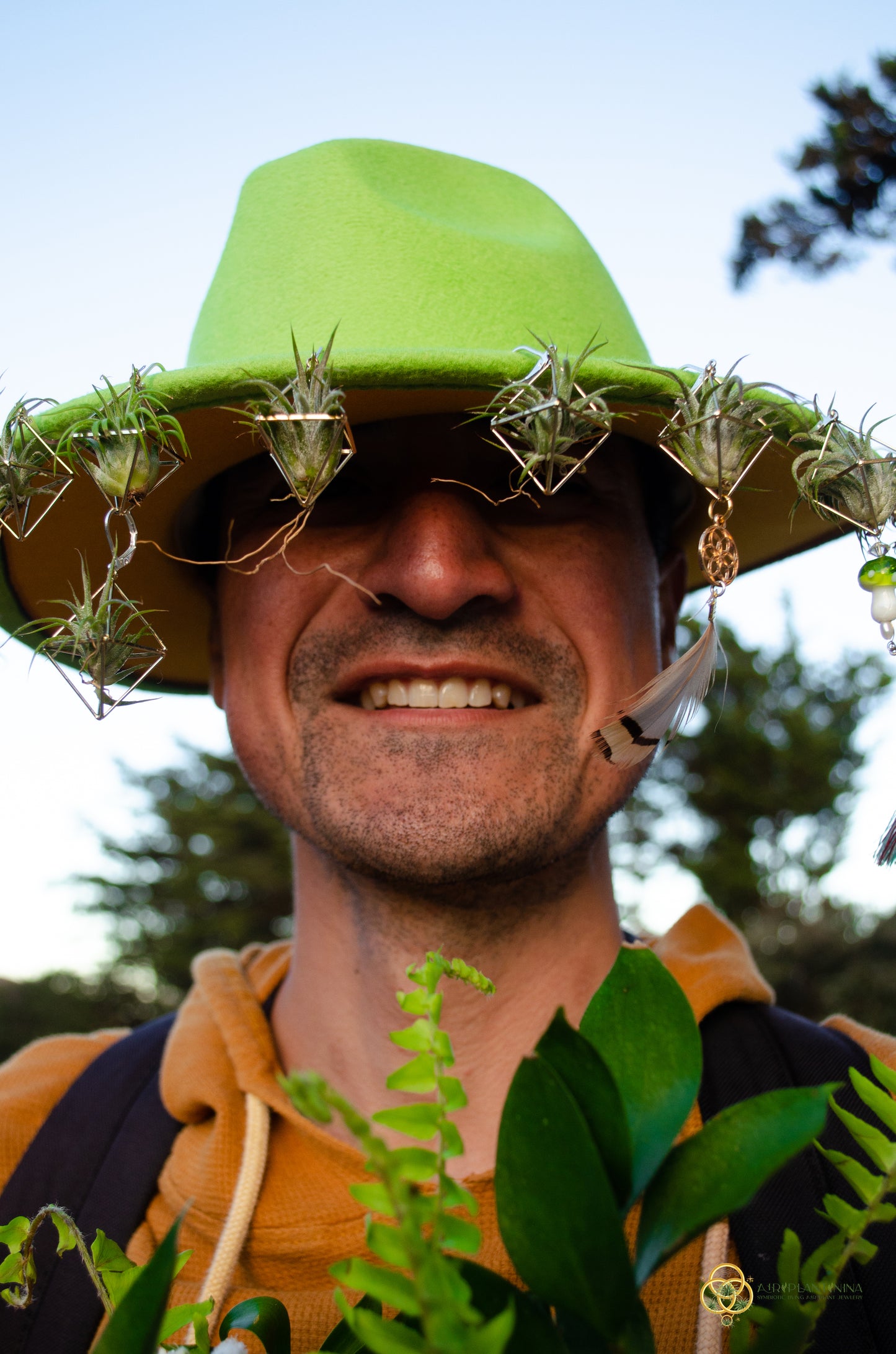 Air Plant Hat Clip/ Earrings ~ Mini Octahedron Classic Air Plant Clips
