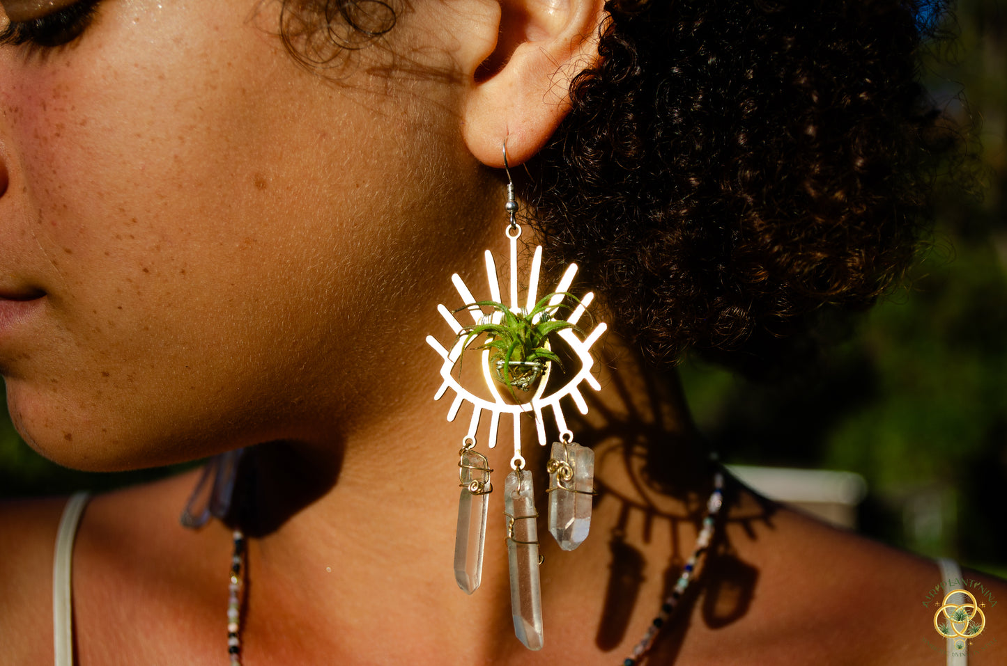 Third Eye-Ris Air Plant Earrings
