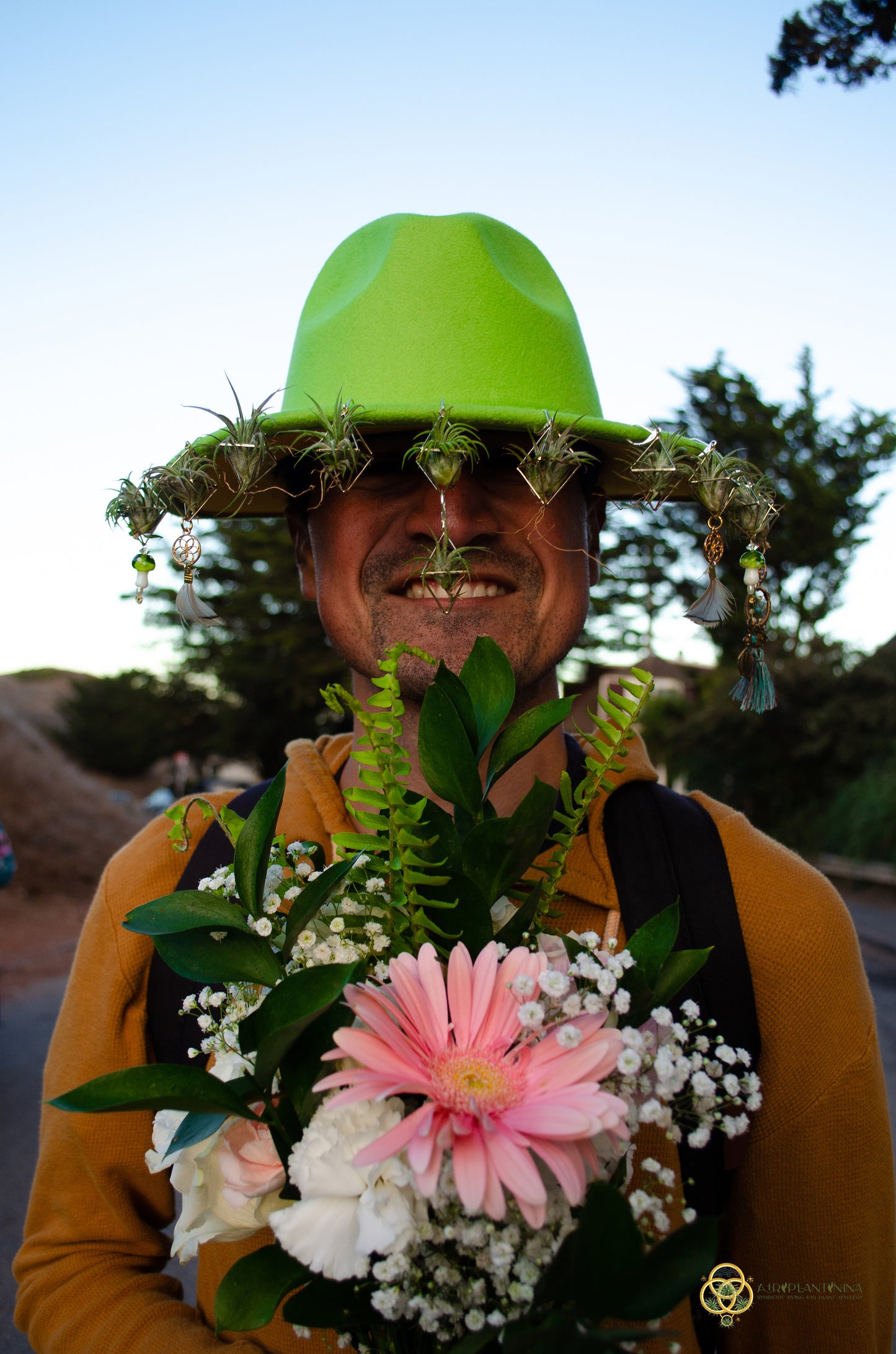 Air Plant Hat Clip/ Earrings ~ Mini Octahedron Classic Air Plant Clips
