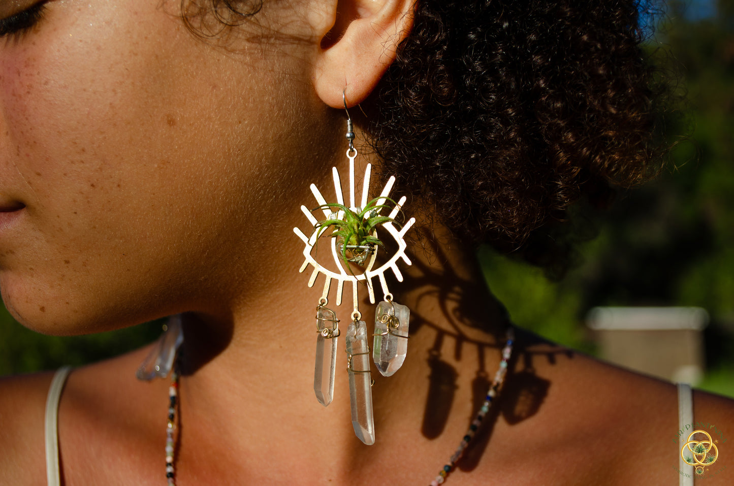 Third Eye-Ris Air Plant Earrings