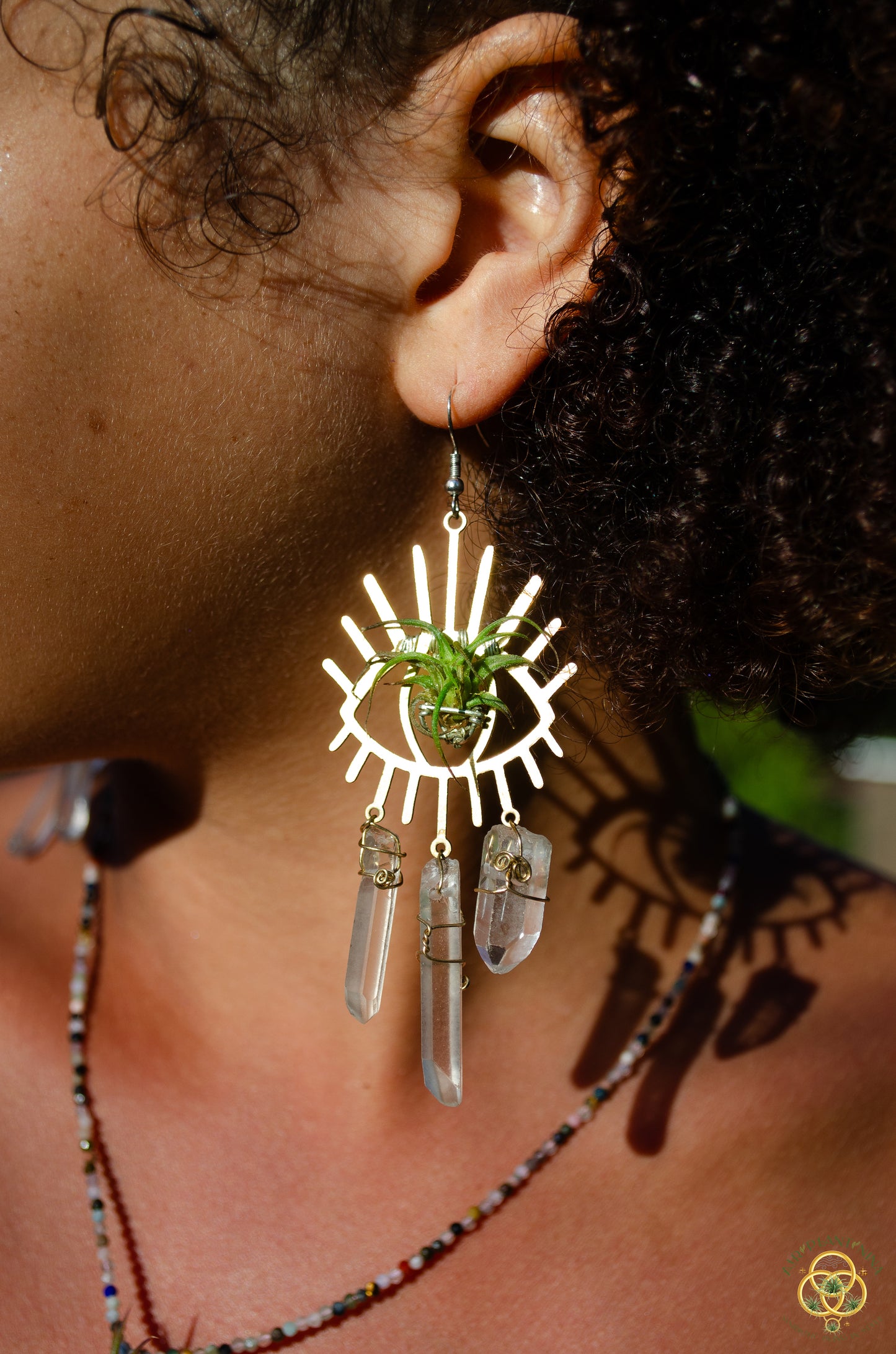 Third Eye-Ris Air Plant Earrings