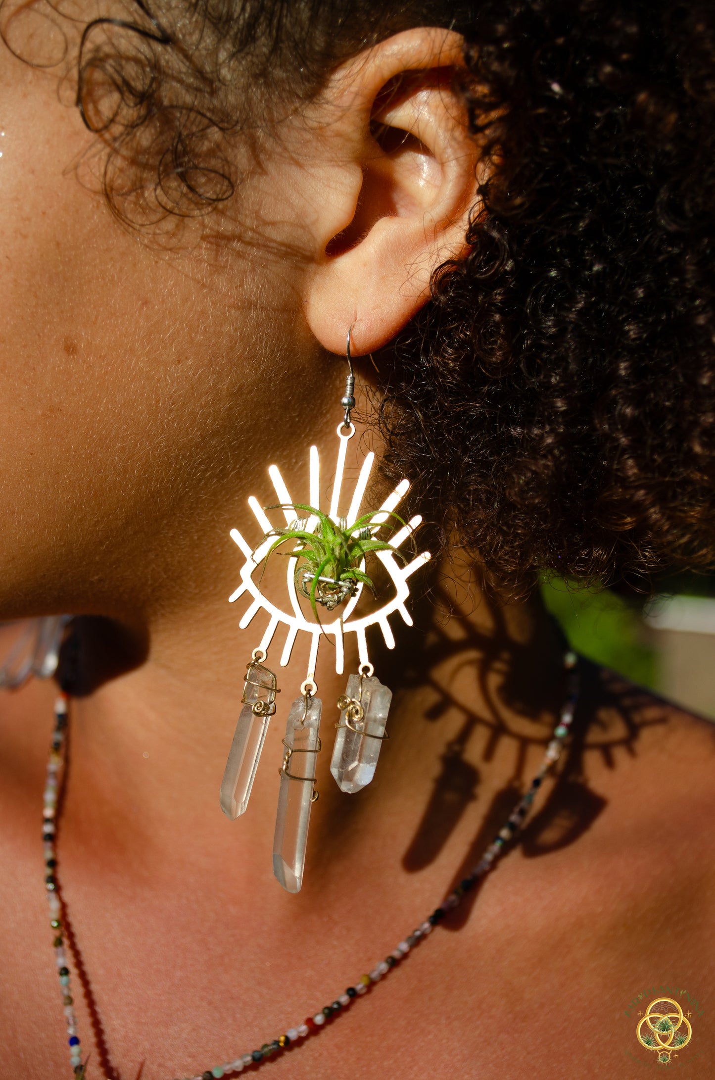 Third Eye-Ris Air Plant Earrings