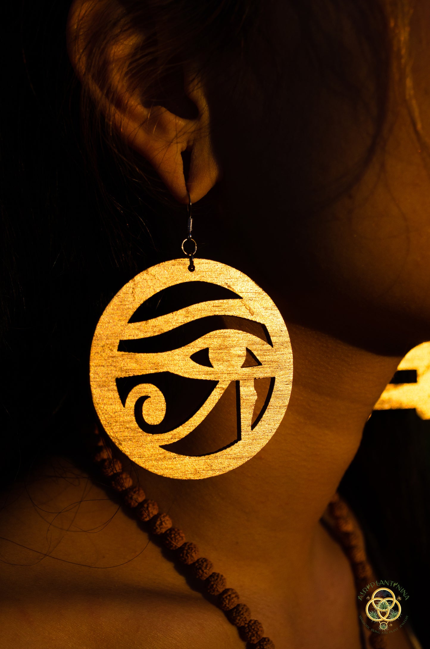 Eye of Horus ~ Ankanji Key Code Light Language Wooden Earrings