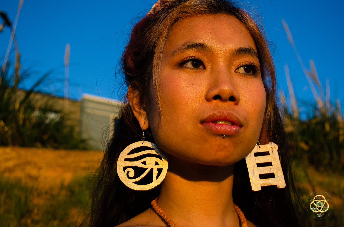 Eye of Horus ~ Ankanji Key Code Light Language Wooden Earrings