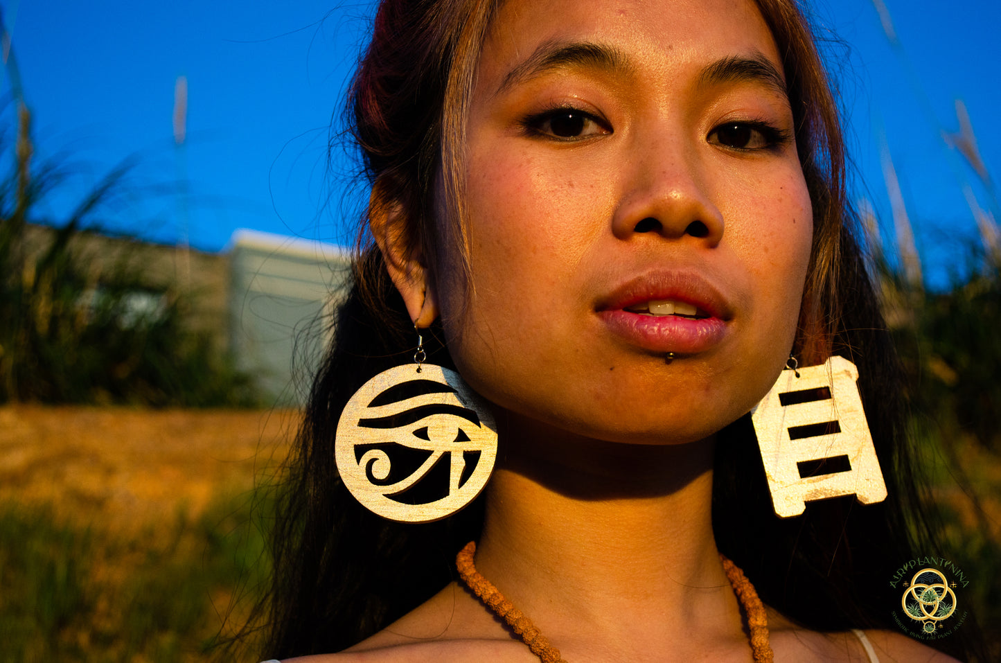 Eye of Horus ~ Ankanji Key Code Light Language Wooden Earrings