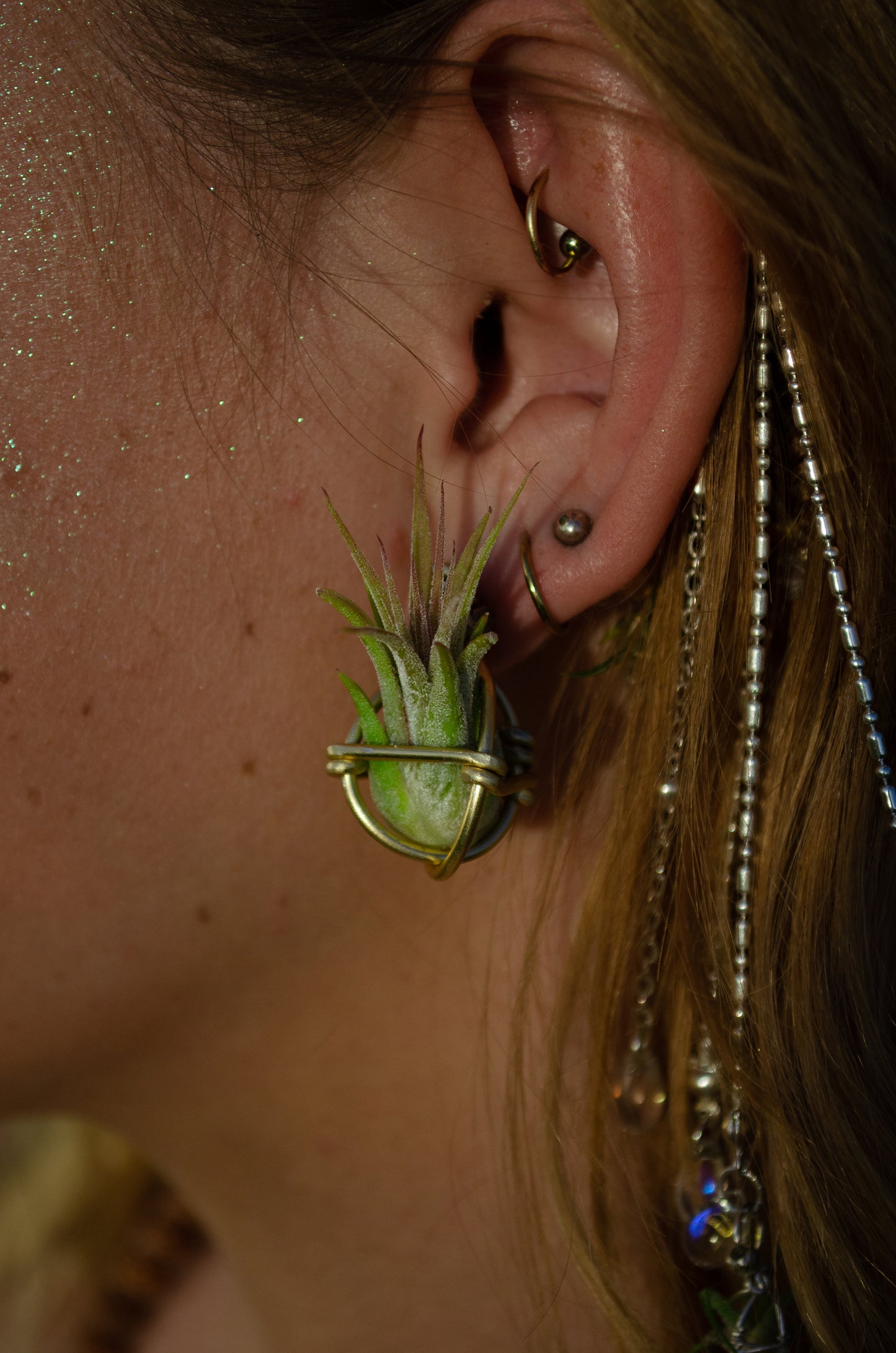 Air Plant Orb Stud Earrings Dainty & Cute