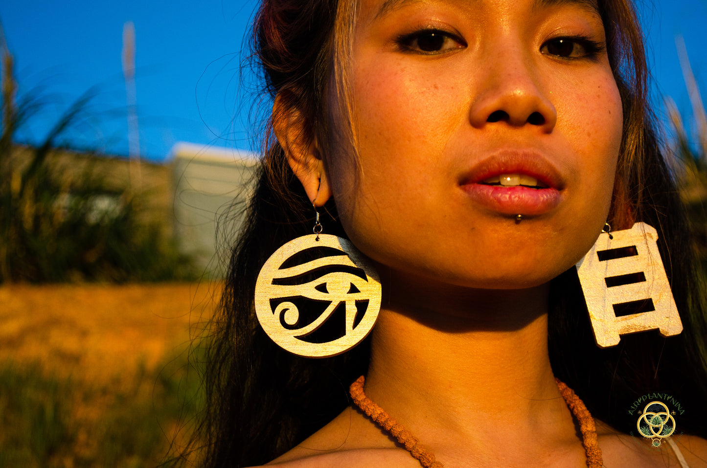 Eye of Horus ~ Ankanji Key Code Light Language Wooden Earrings