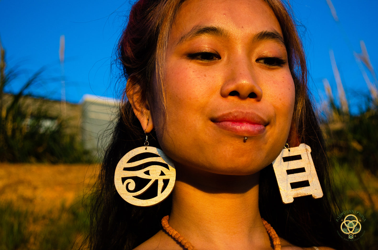 Eye of Horus ~ Ankanji Key Code Light Language Wooden Earrings