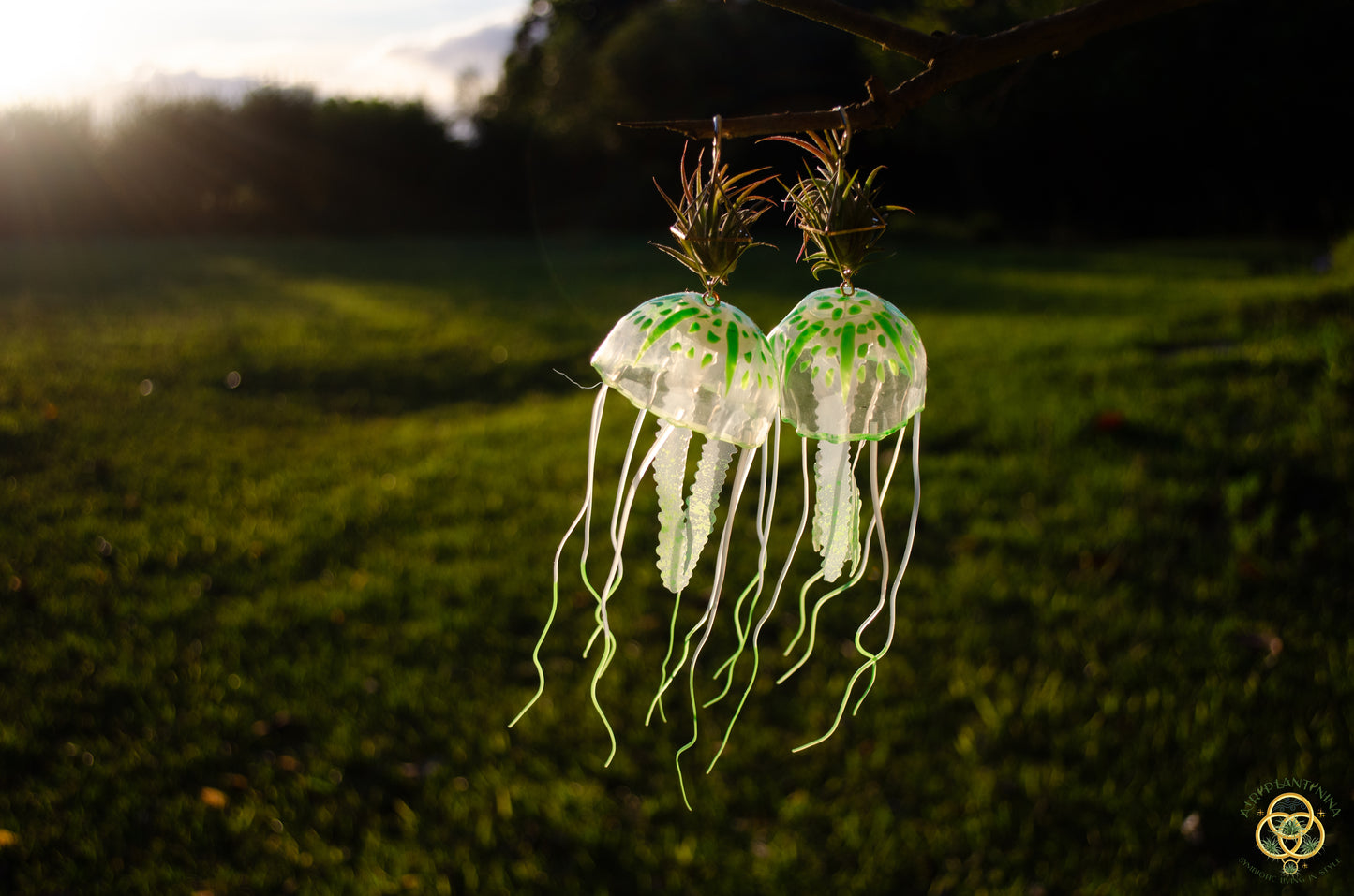 Jellyfish Glow Air Plant Earrings