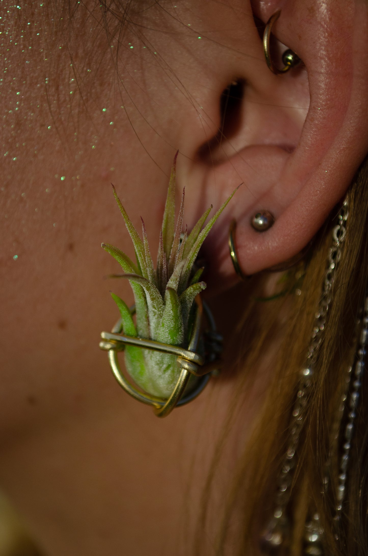 Air Plant Orb Stud Earrings Dainty & Cute