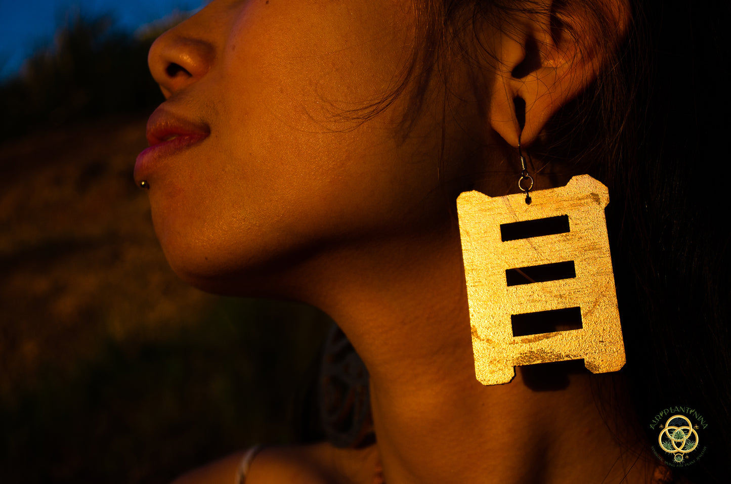 Eye of Horus ~ Ankanji Key Code Light Language Wooden Earrings