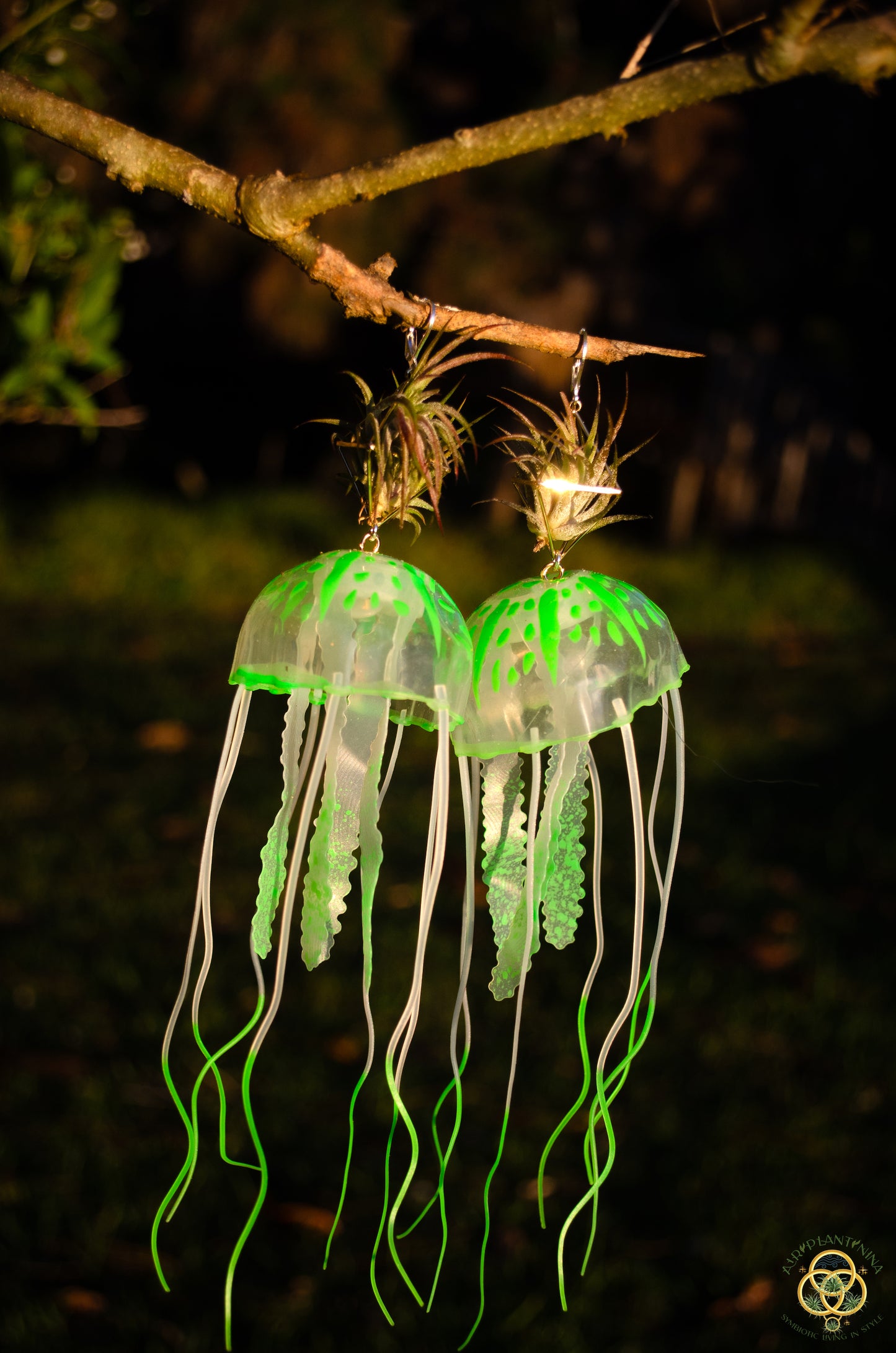 Jellyfish Glow Air Plant Earrings