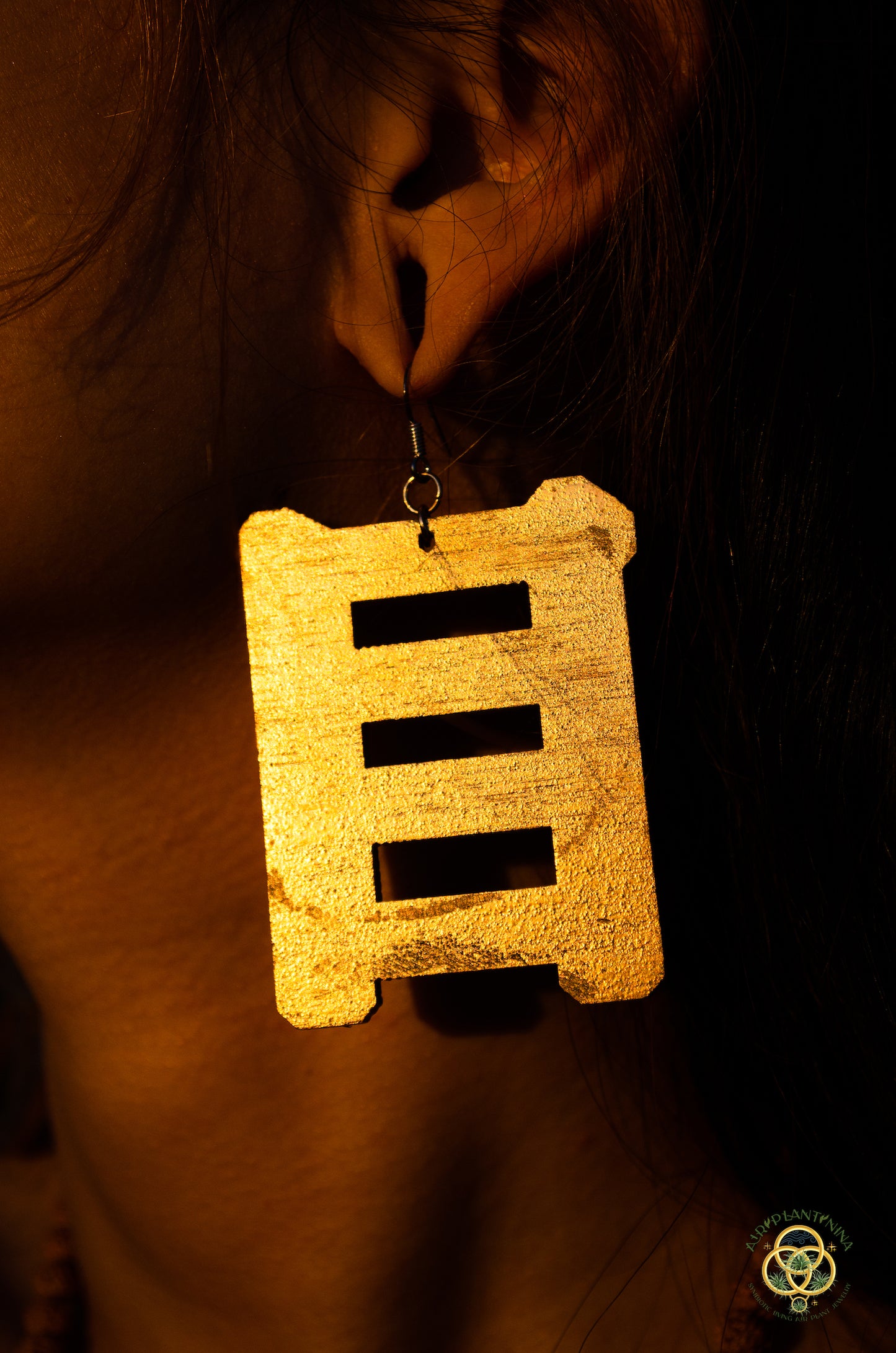 Eye of Horus ~ Ankanji Key Code Light Language Wooden Earrings