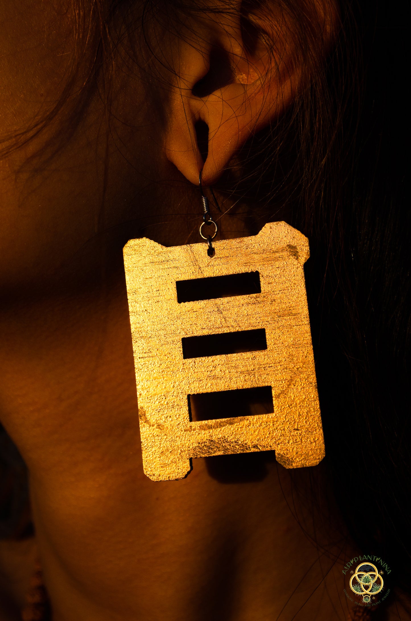 Eye of Horus ~ Ankanji Key Code Light Language Wooden Earrings