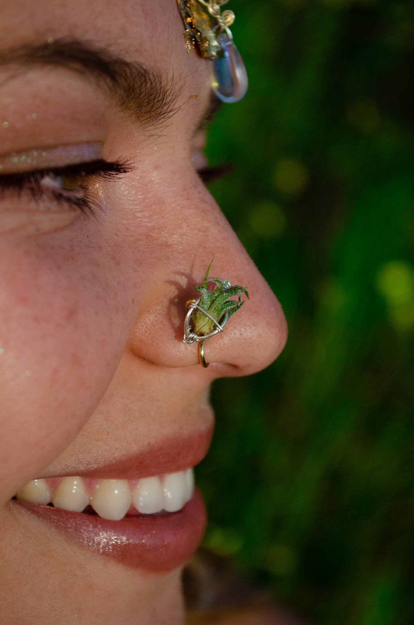 Air Plant Nose Ring Cuff ~ Living Jewelry