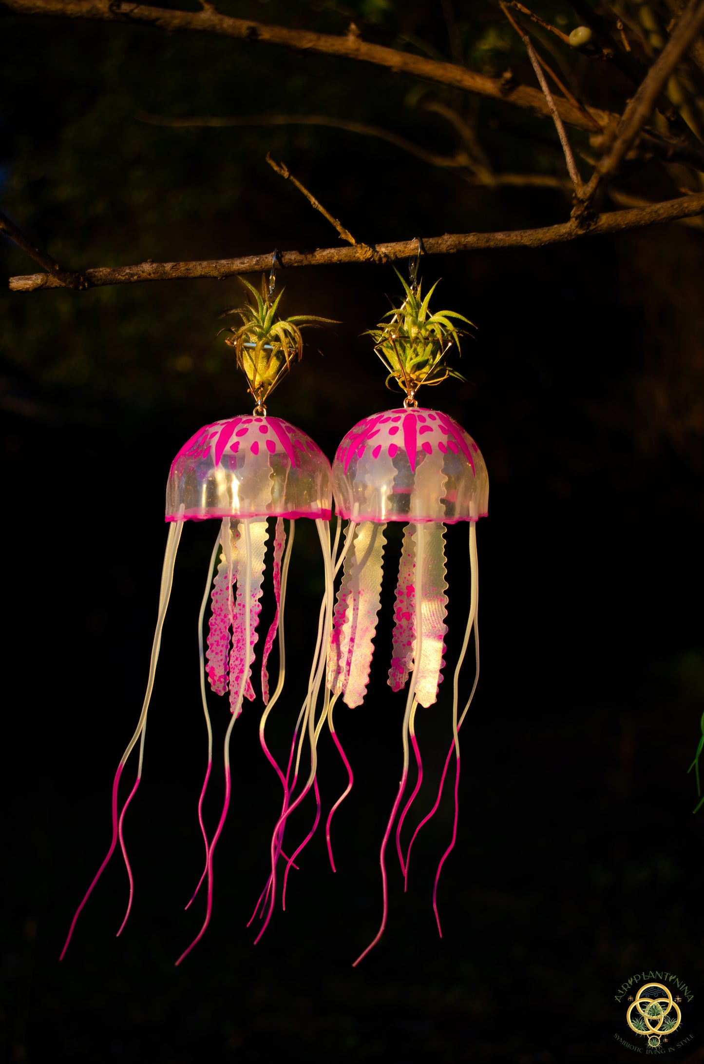 Jellyfish Glow Air Plant Earrings